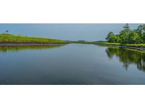 Scenic water view of a calm river surrounded by lush green landscape at 1529 Foster Creek Rd, Hanahan, SC 29410