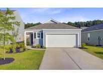 Charming single-story home with a two-car garage, well-manicured lawn, and a welcoming entrance at 325 Coral Sunset Way, Summerville, SC 29486