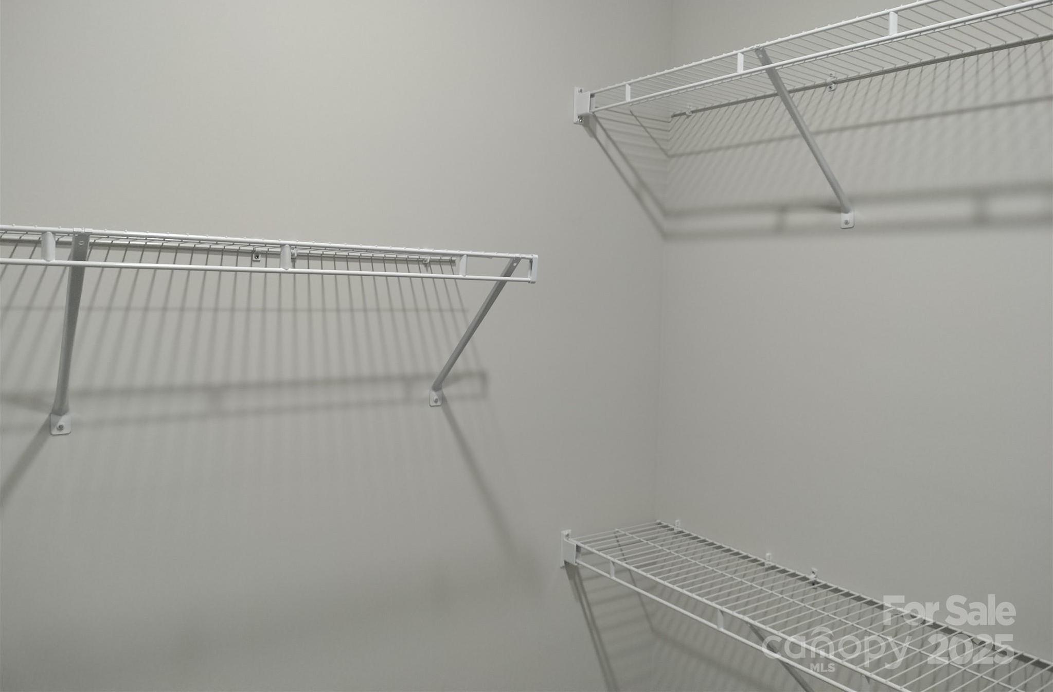 Photo #15