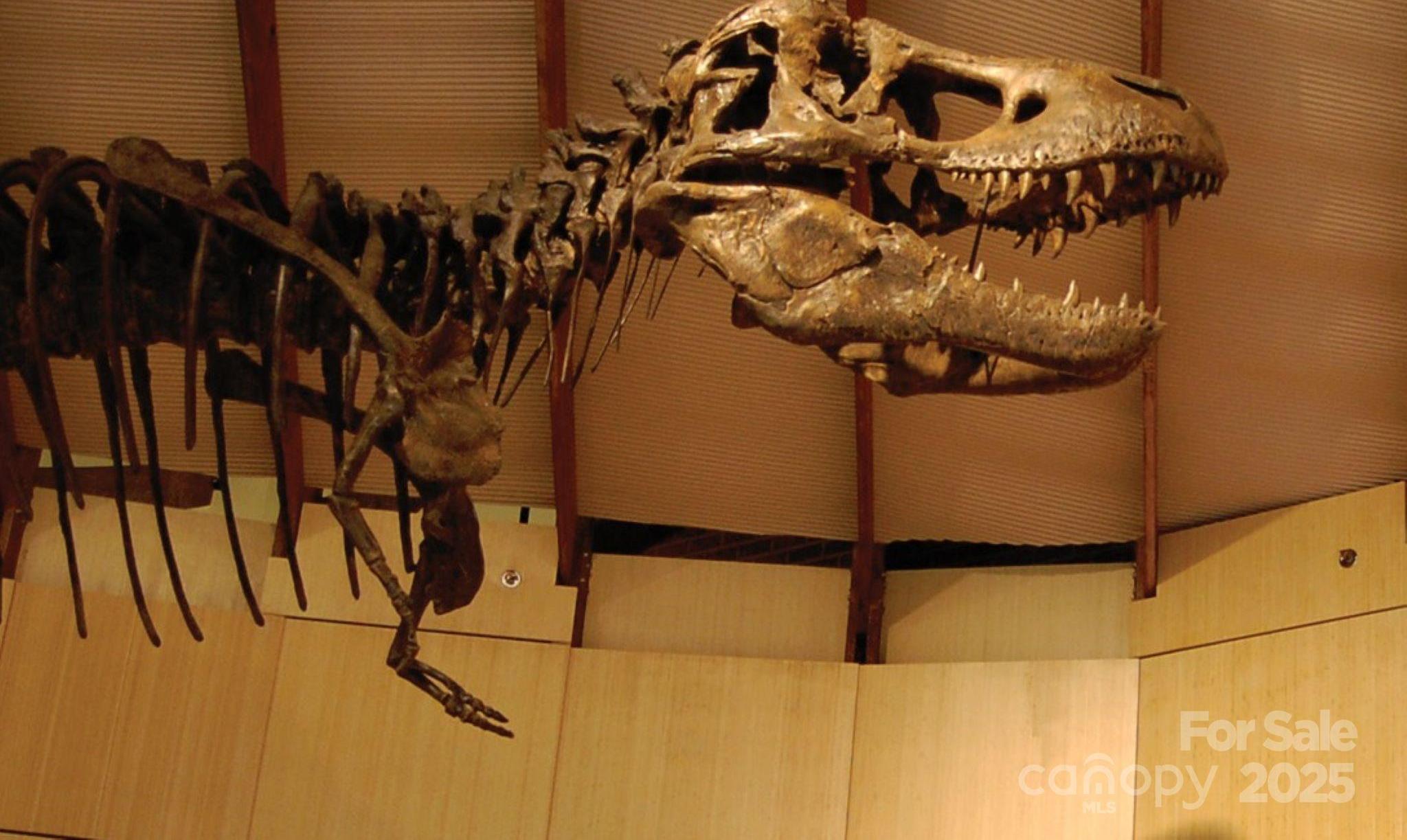 Photo #41