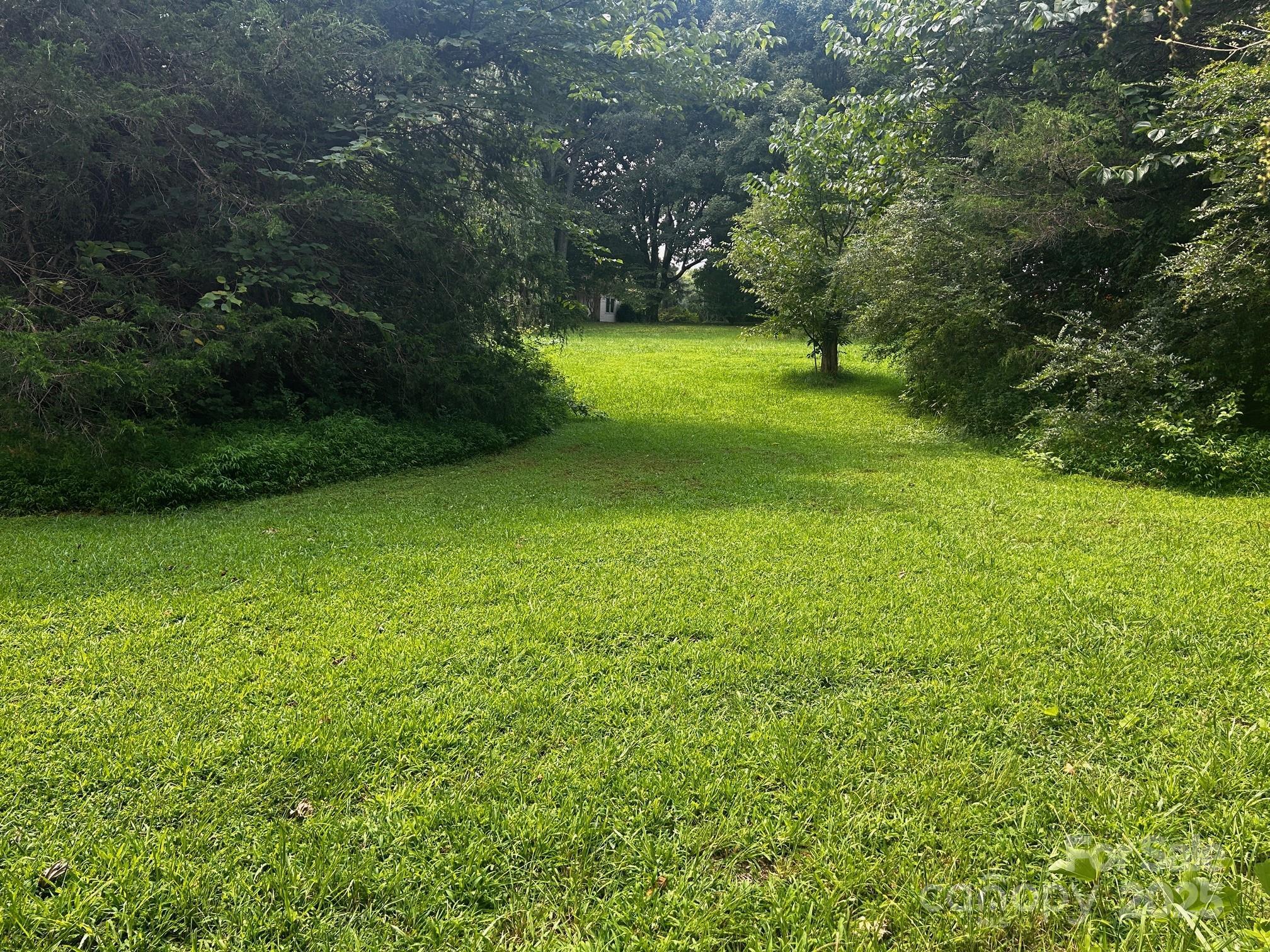 Photo #39