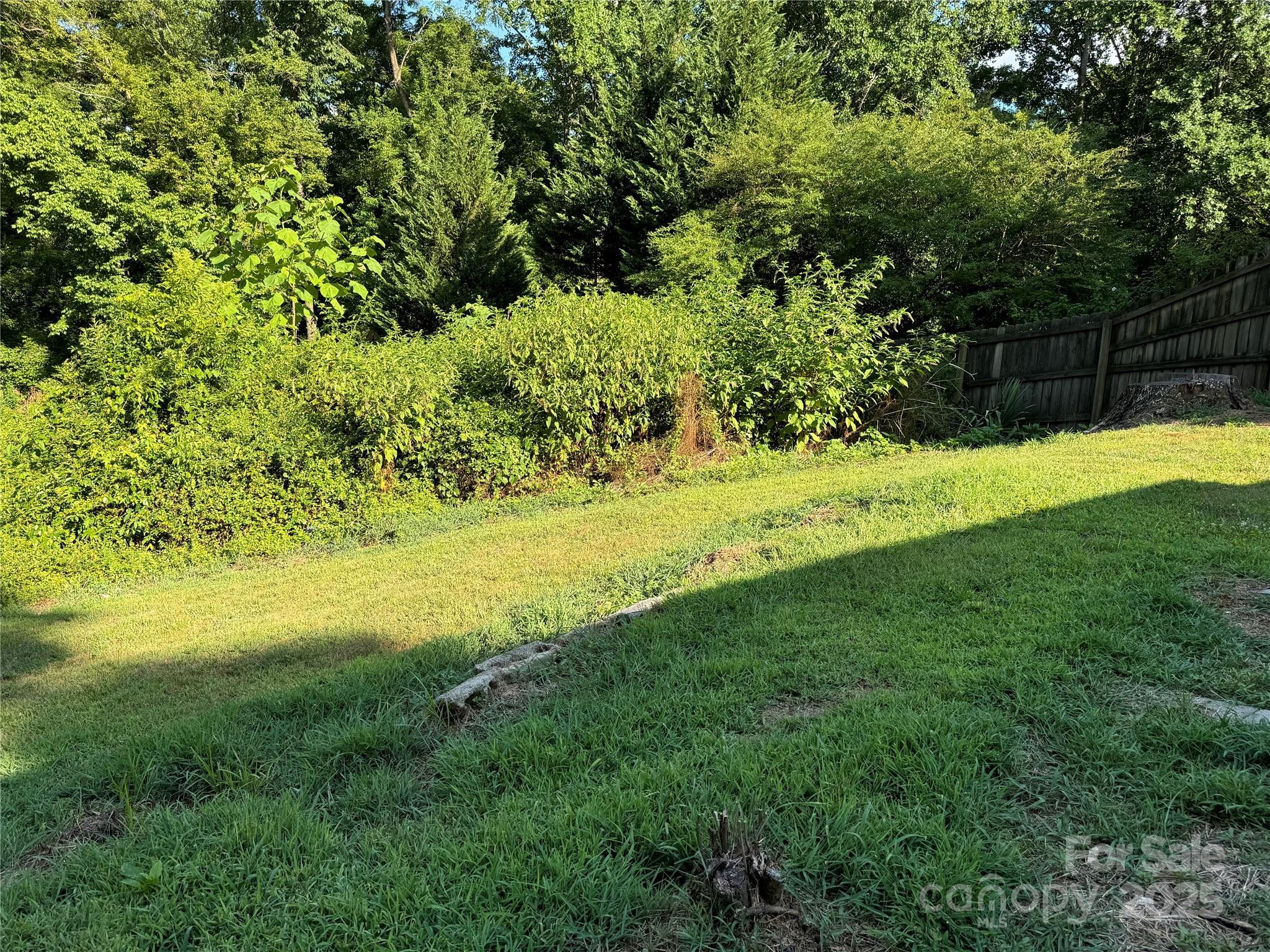 Photo #20