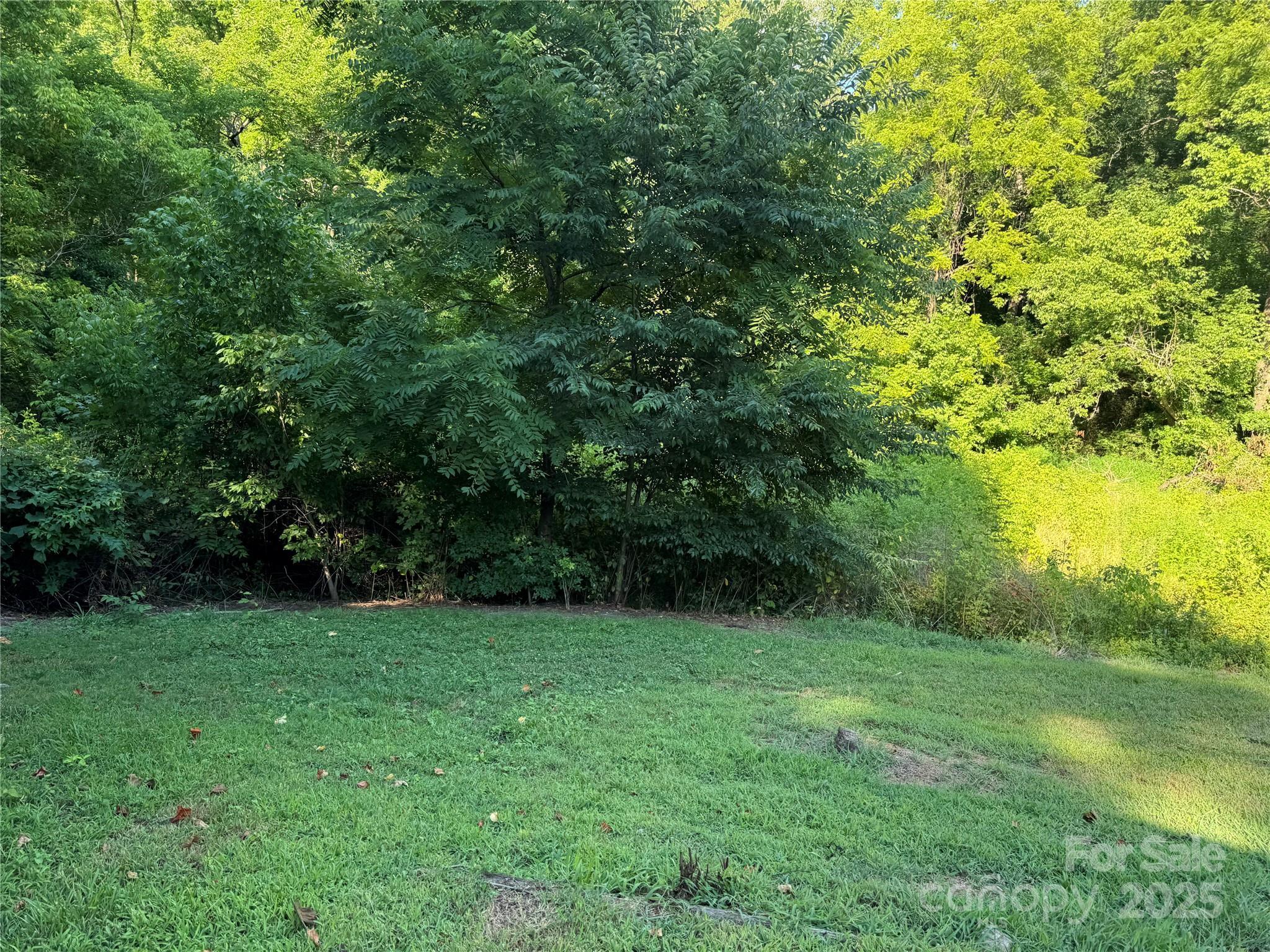 Photo #21