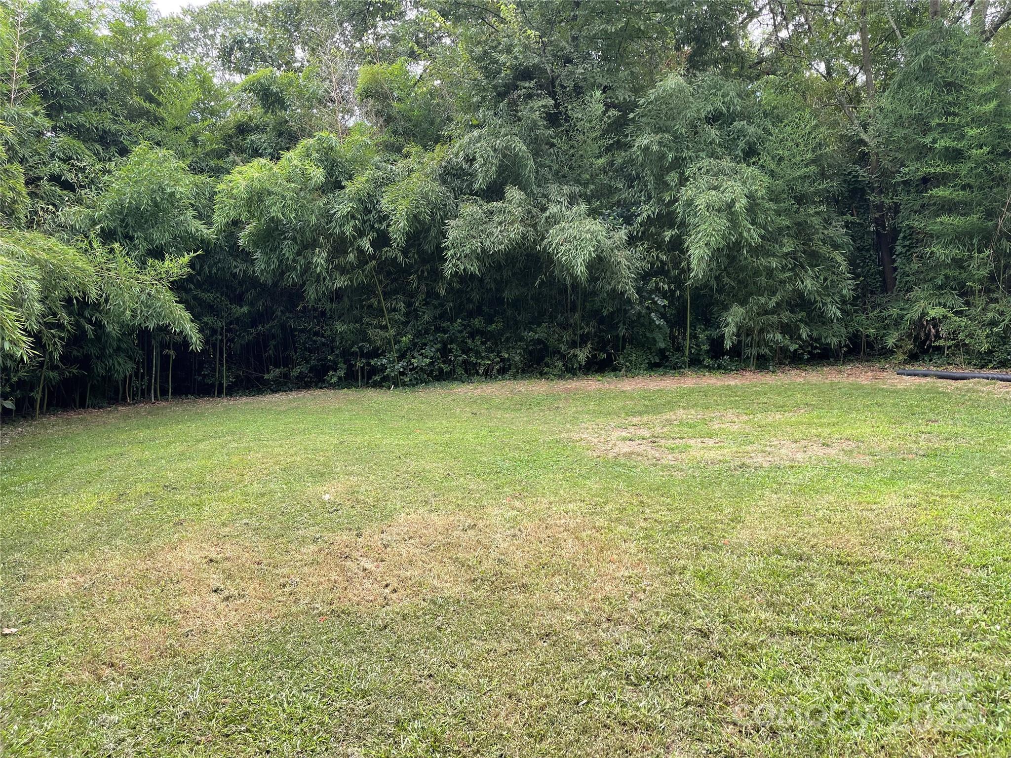 Photo #31