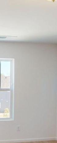 Photo #9