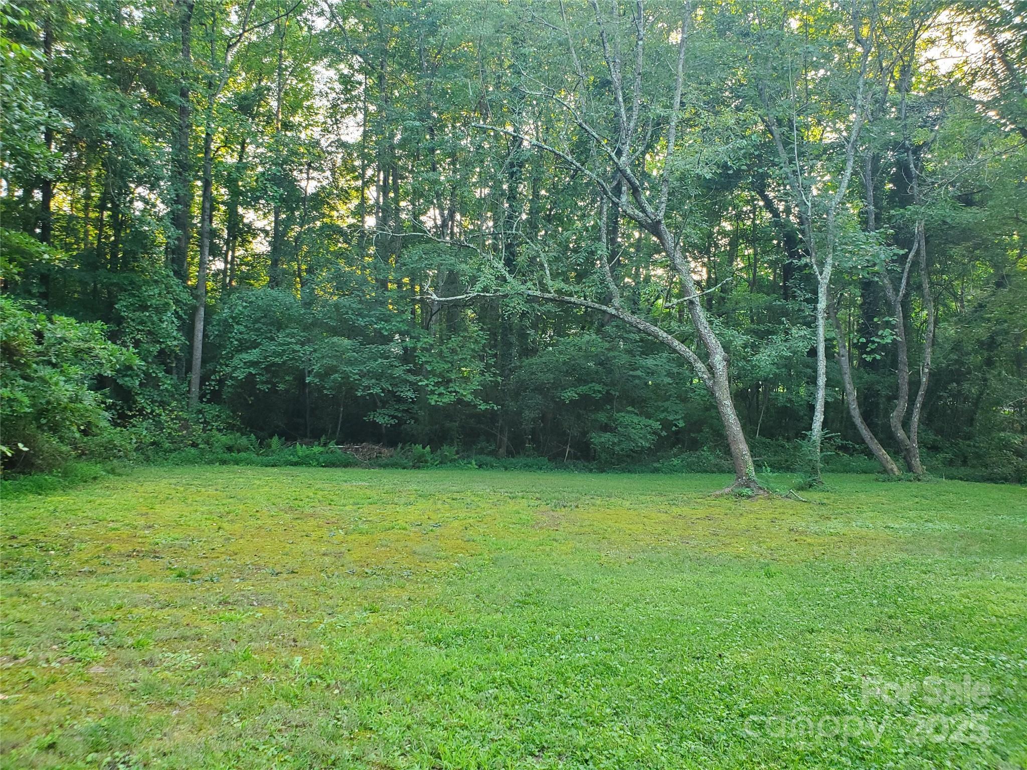 Photo #37