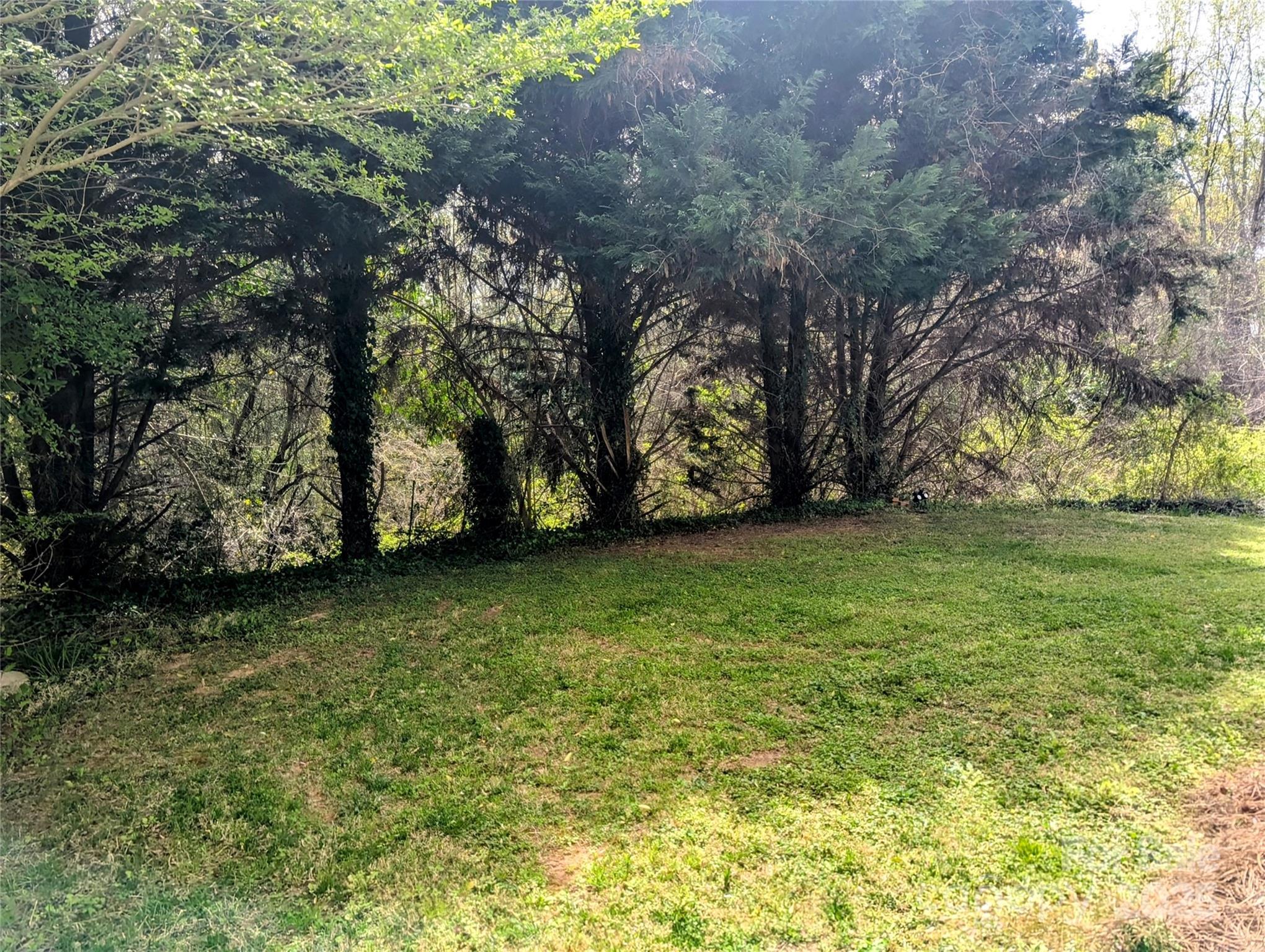 Photo #35