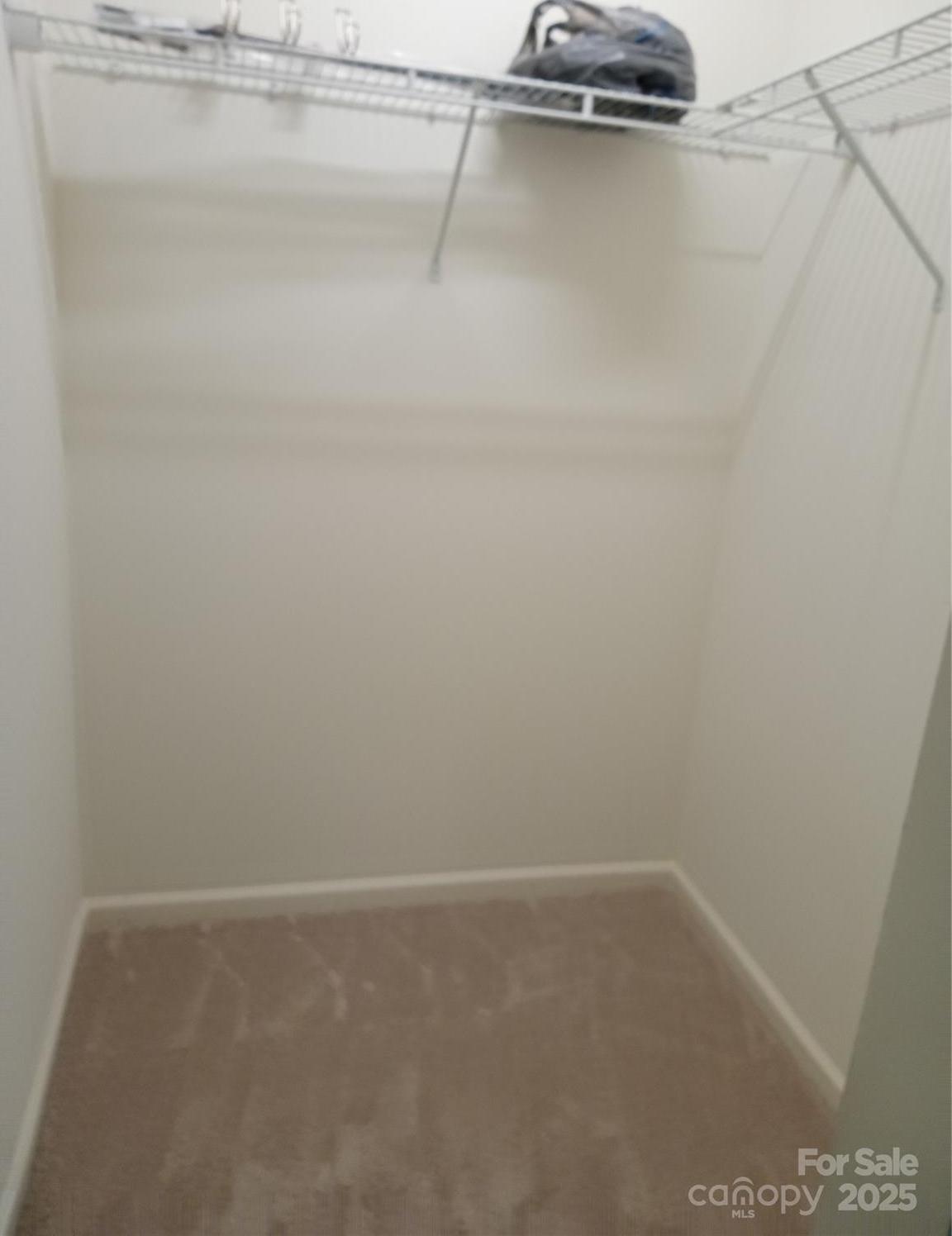 Photo #14
