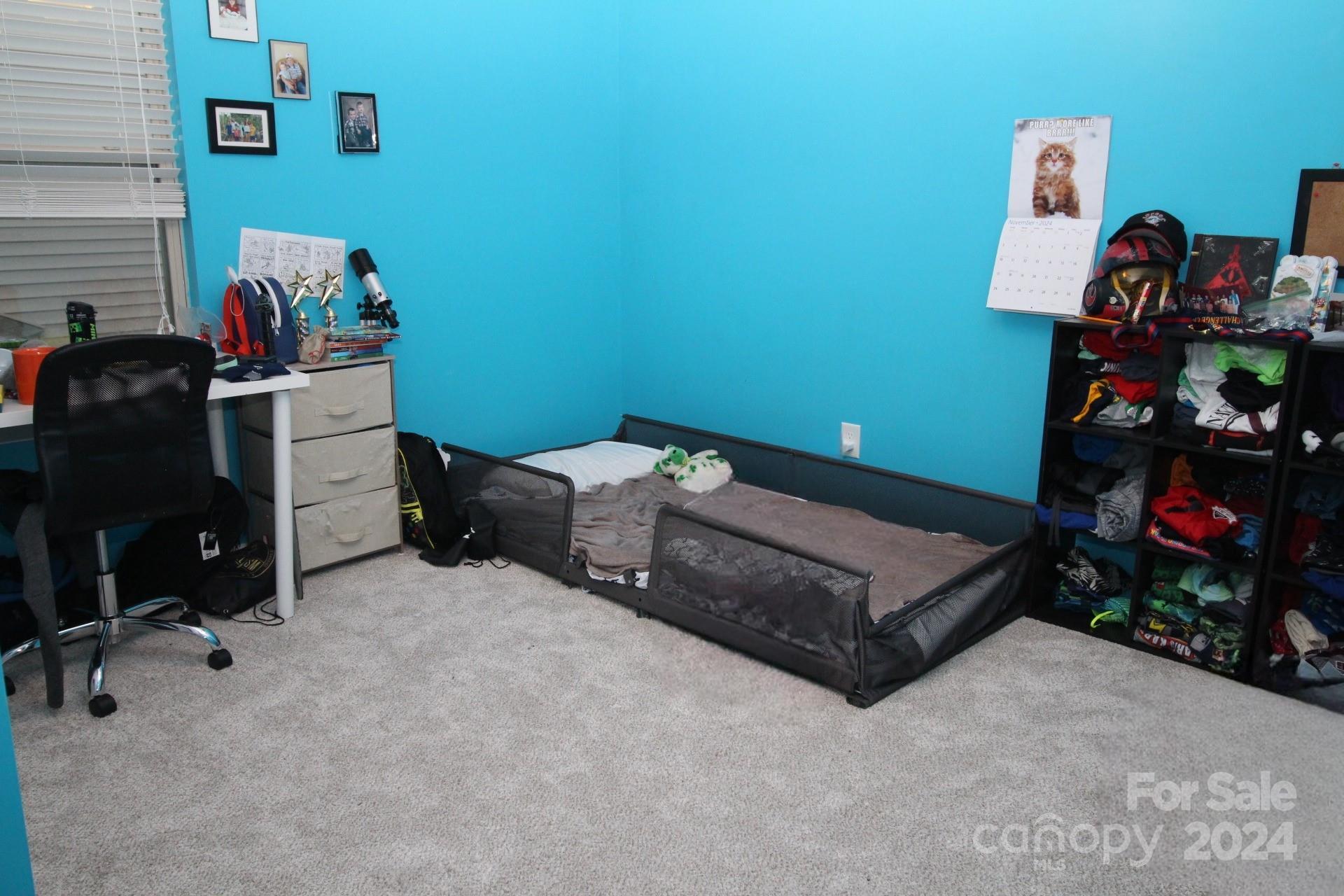 Photo #11
