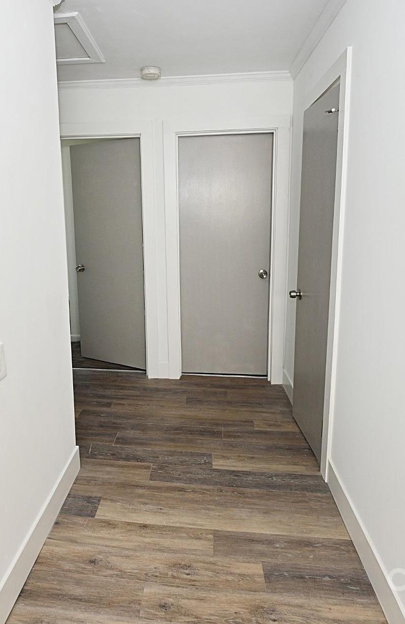 Photo #15