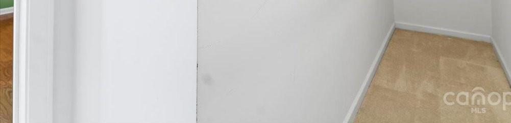 Photo #12