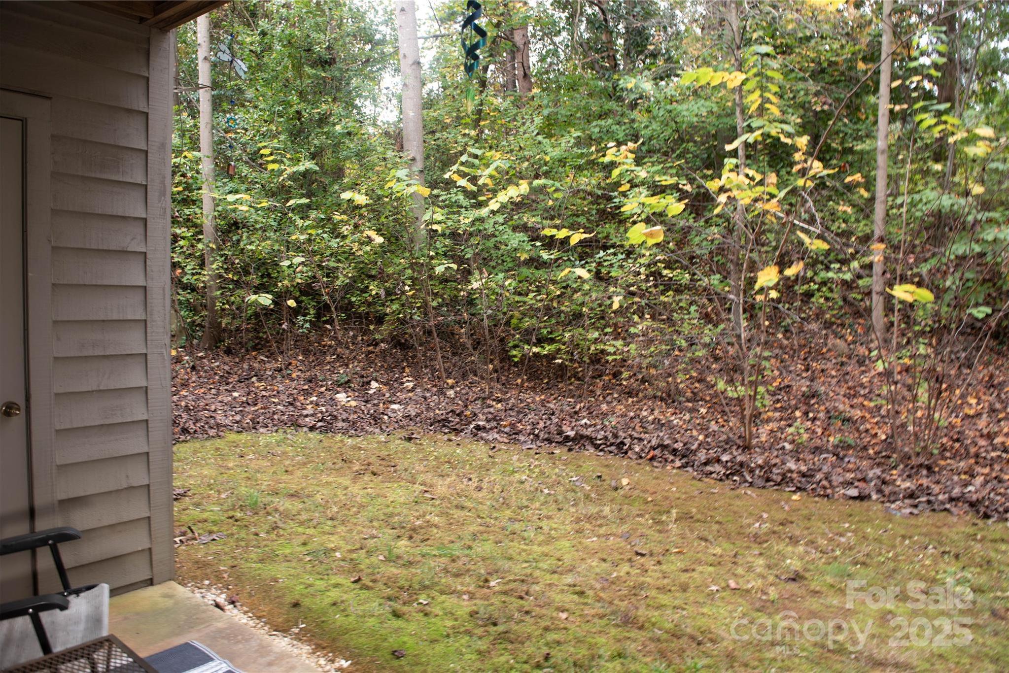 Photo #15
