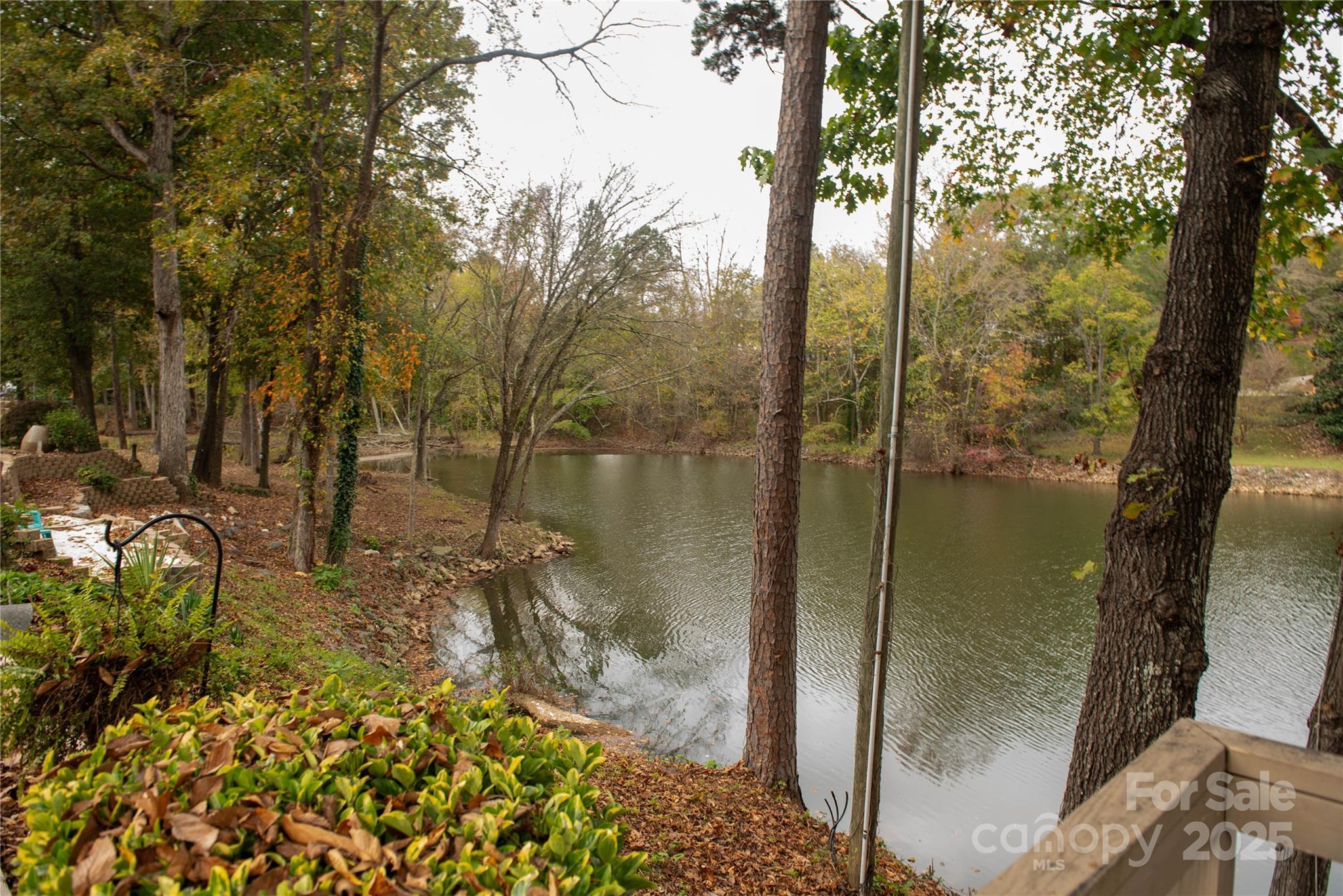 Photo #23