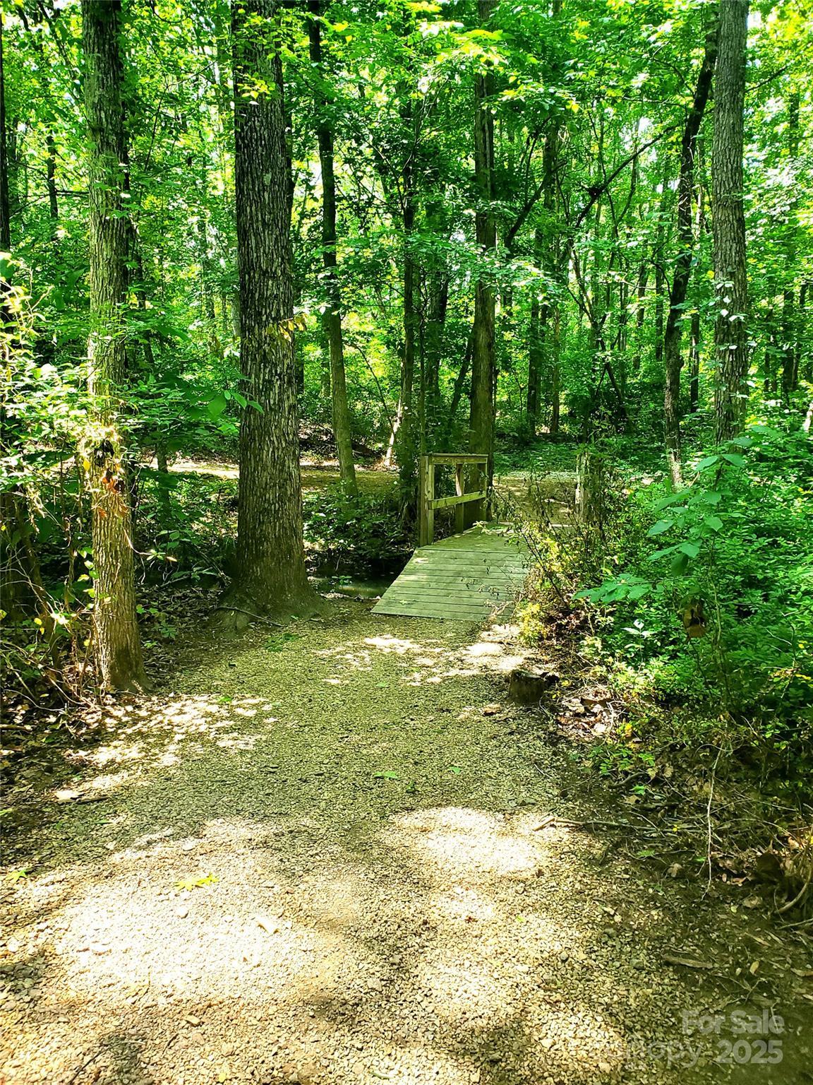 Photo #30