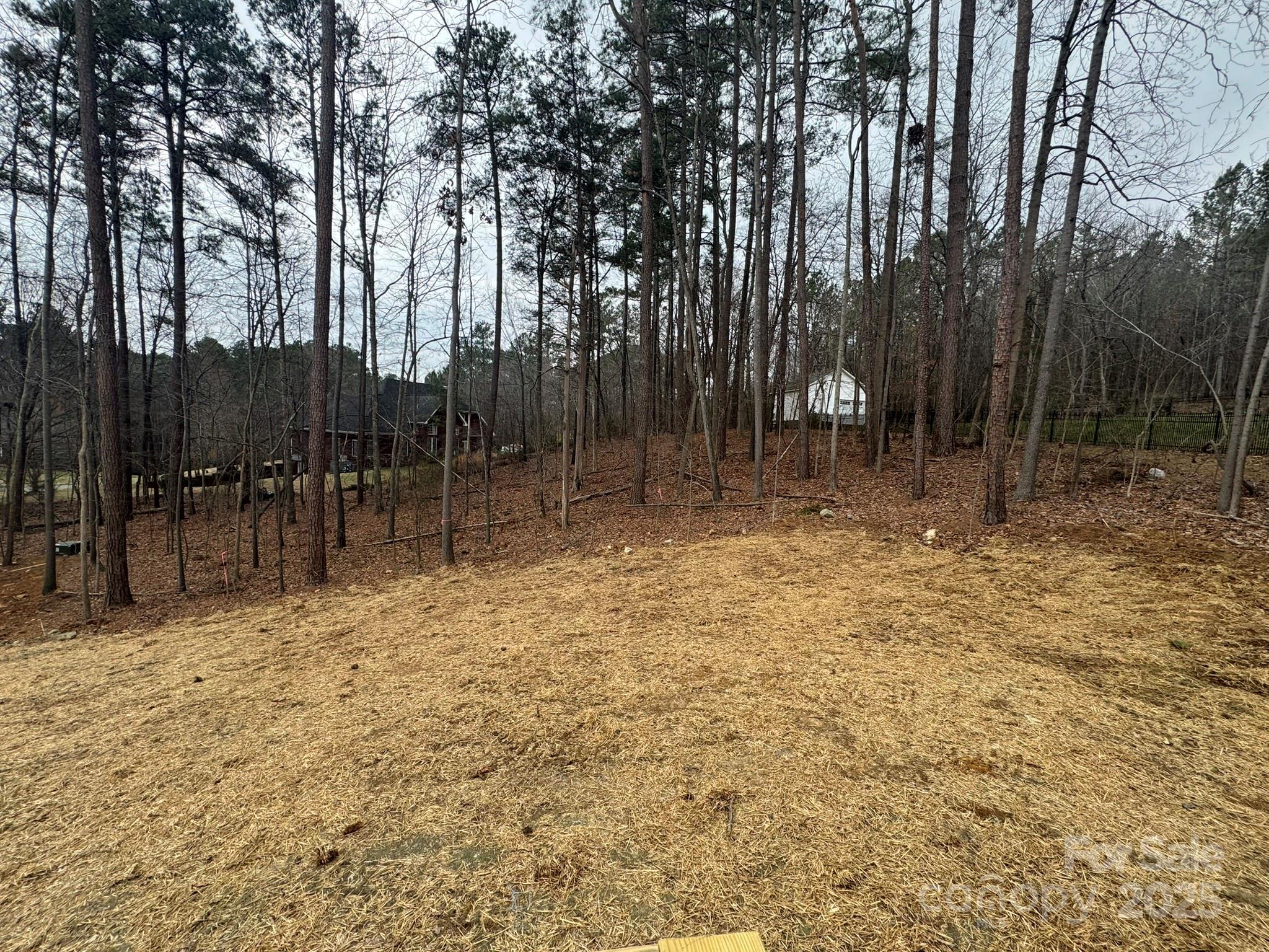Photo #33