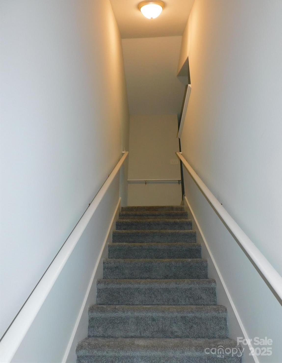 Photo #41