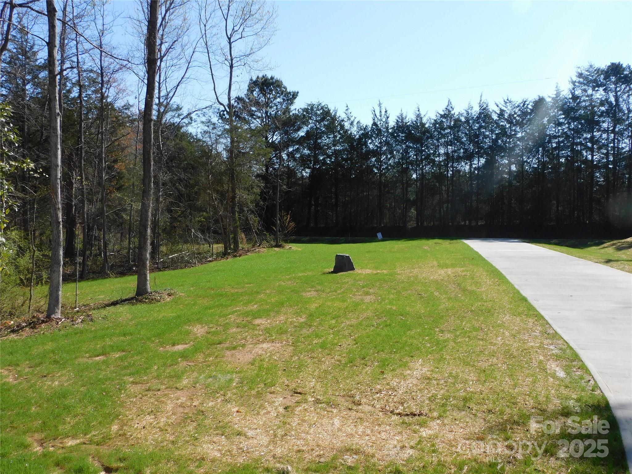 Photo #35