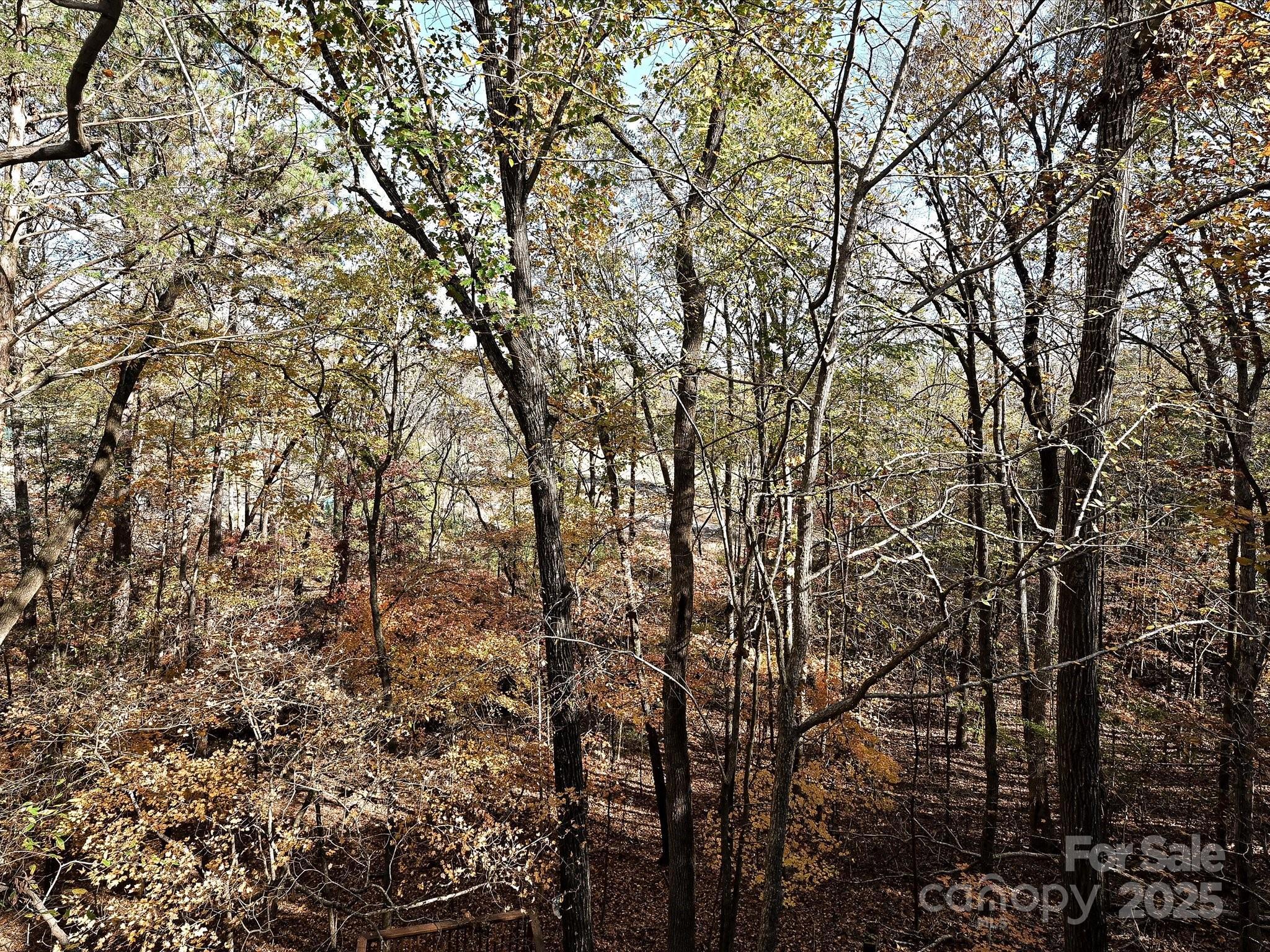 Photo #20