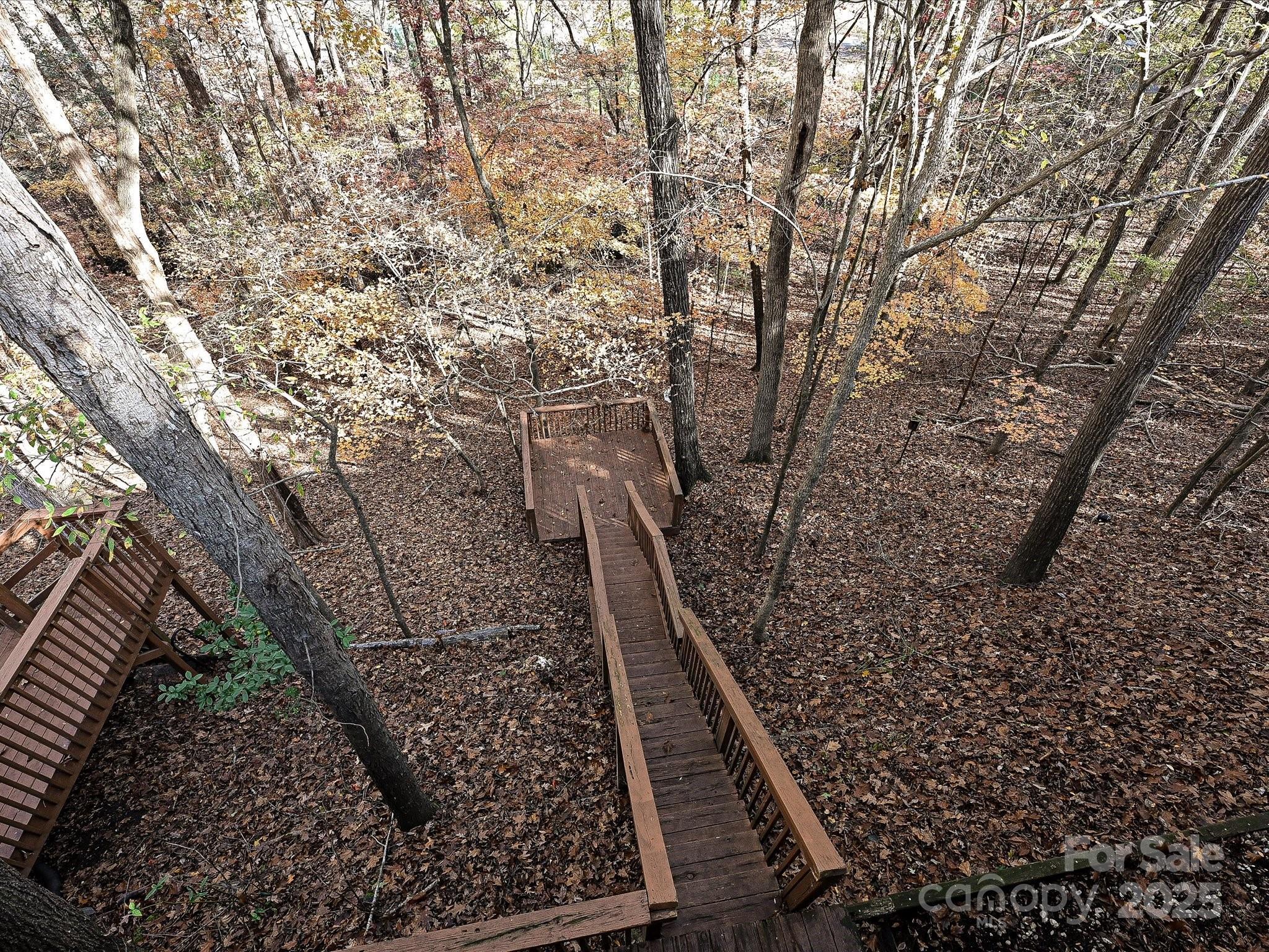 Photo #19