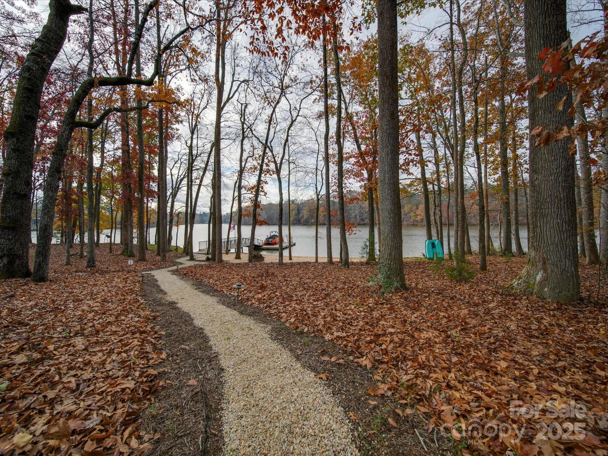 Photo #44