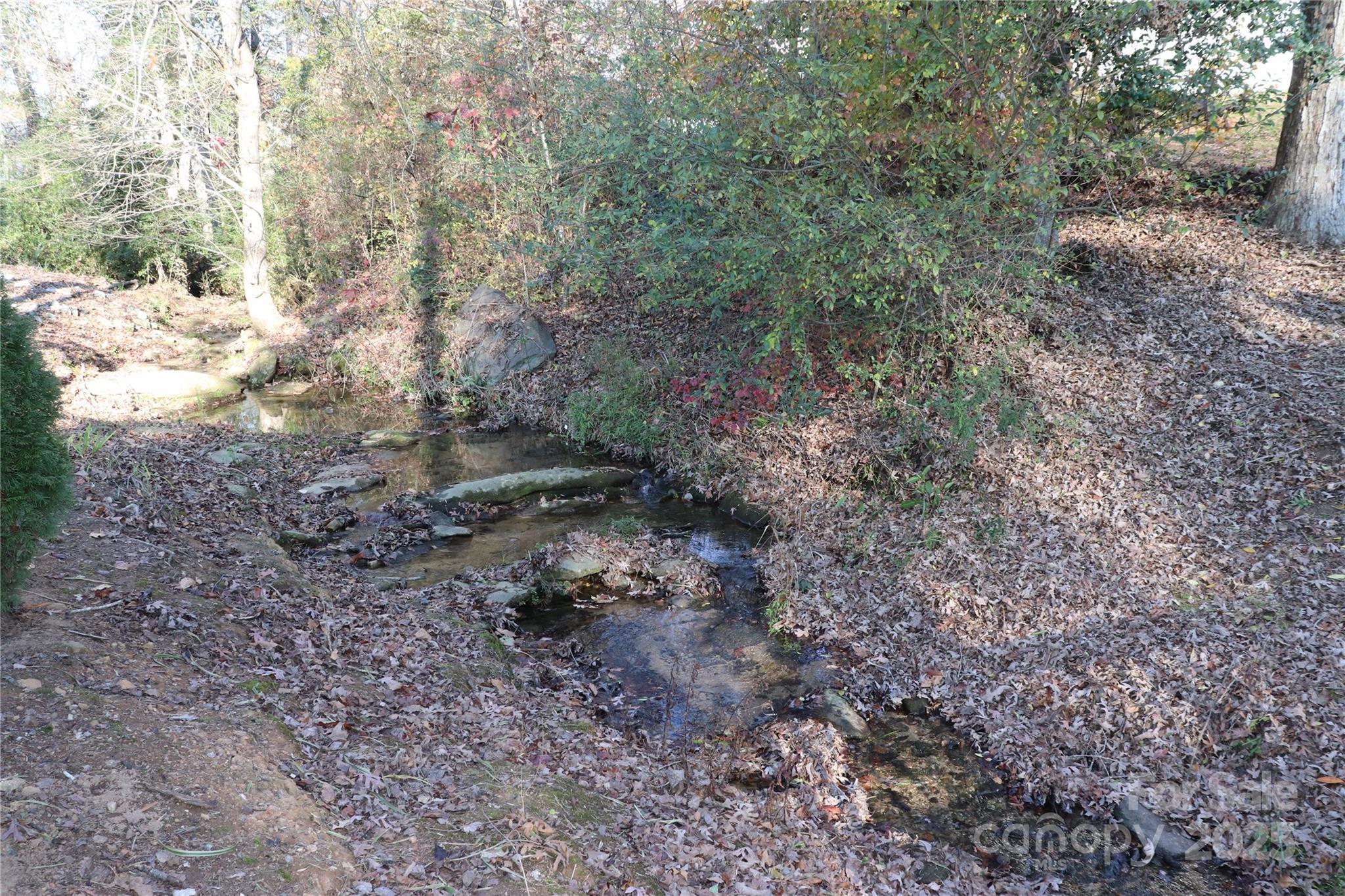 Photo #47