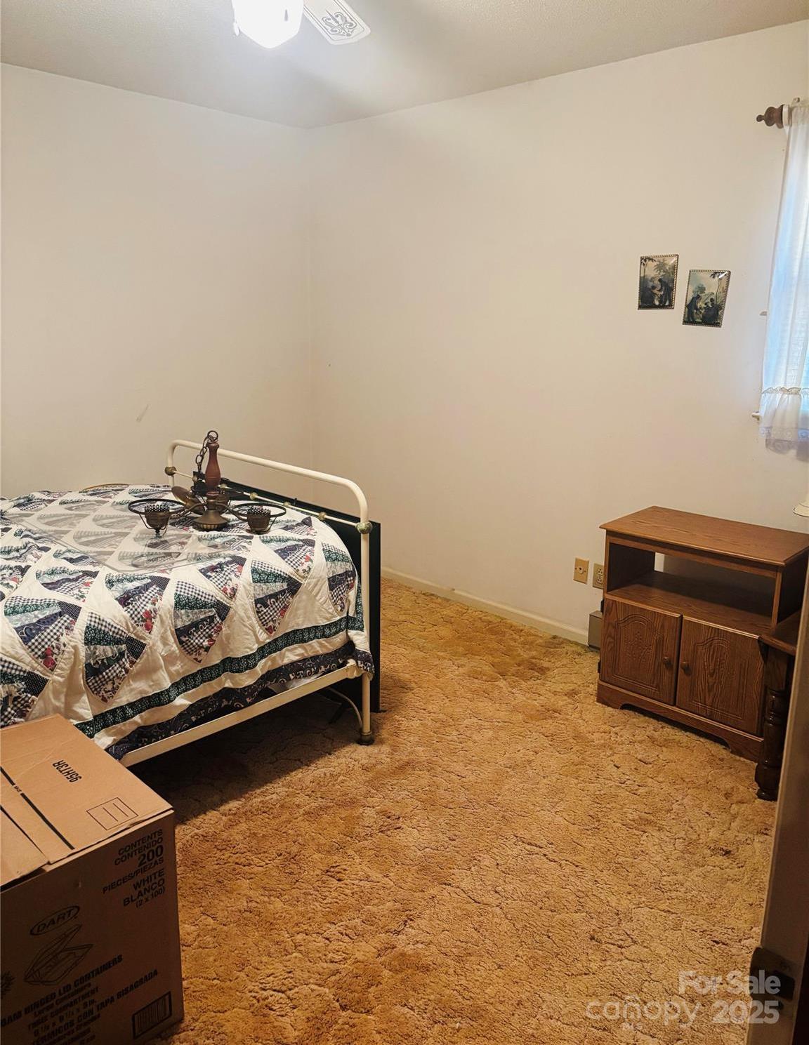 Photo #13