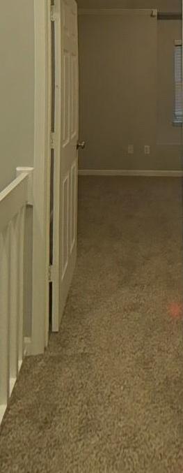 Photo #10