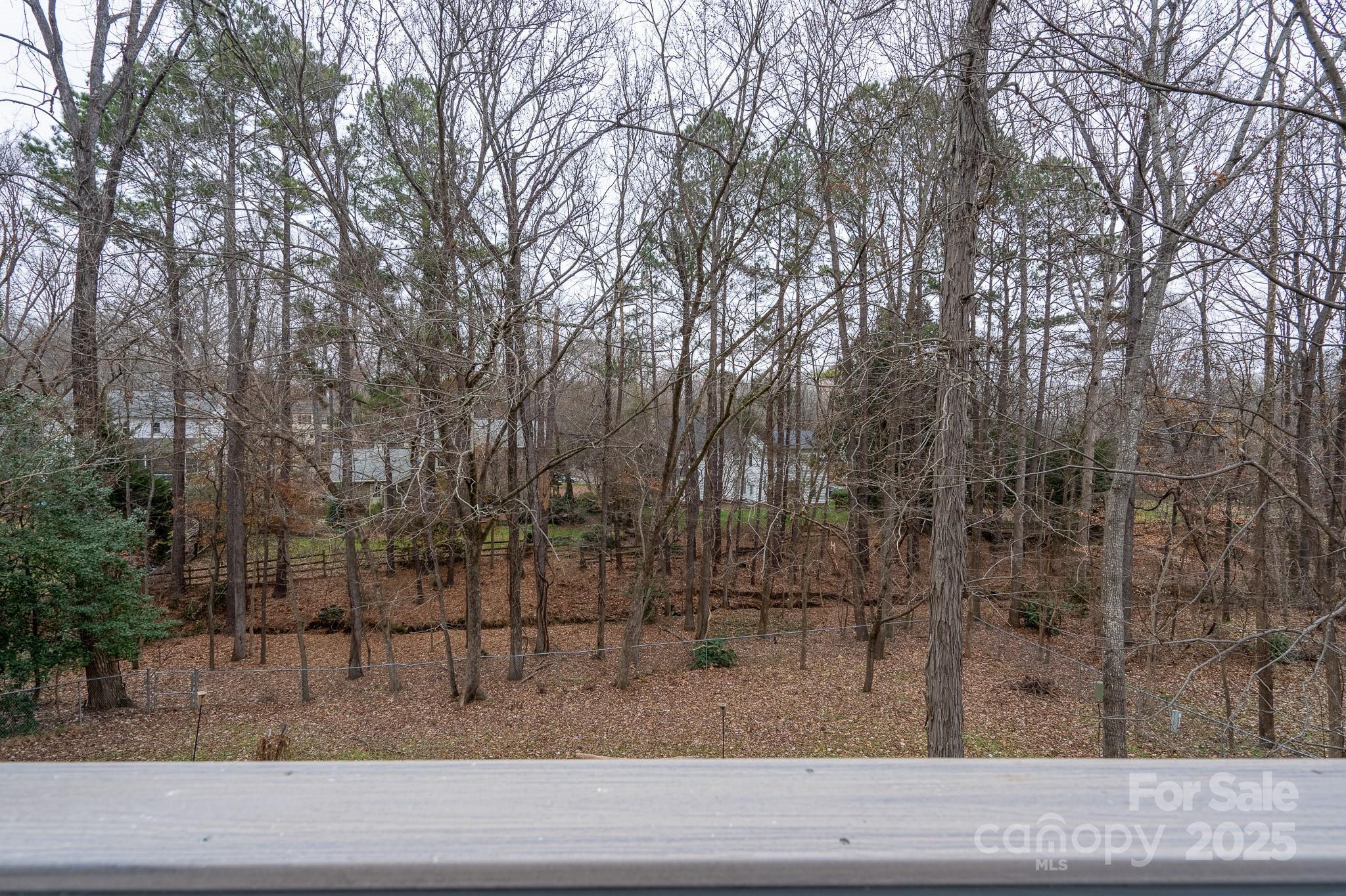 Photo #24