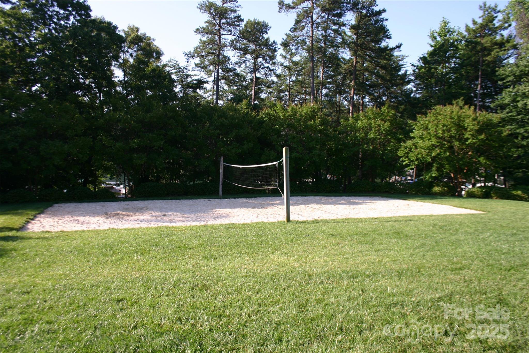 Photo #44