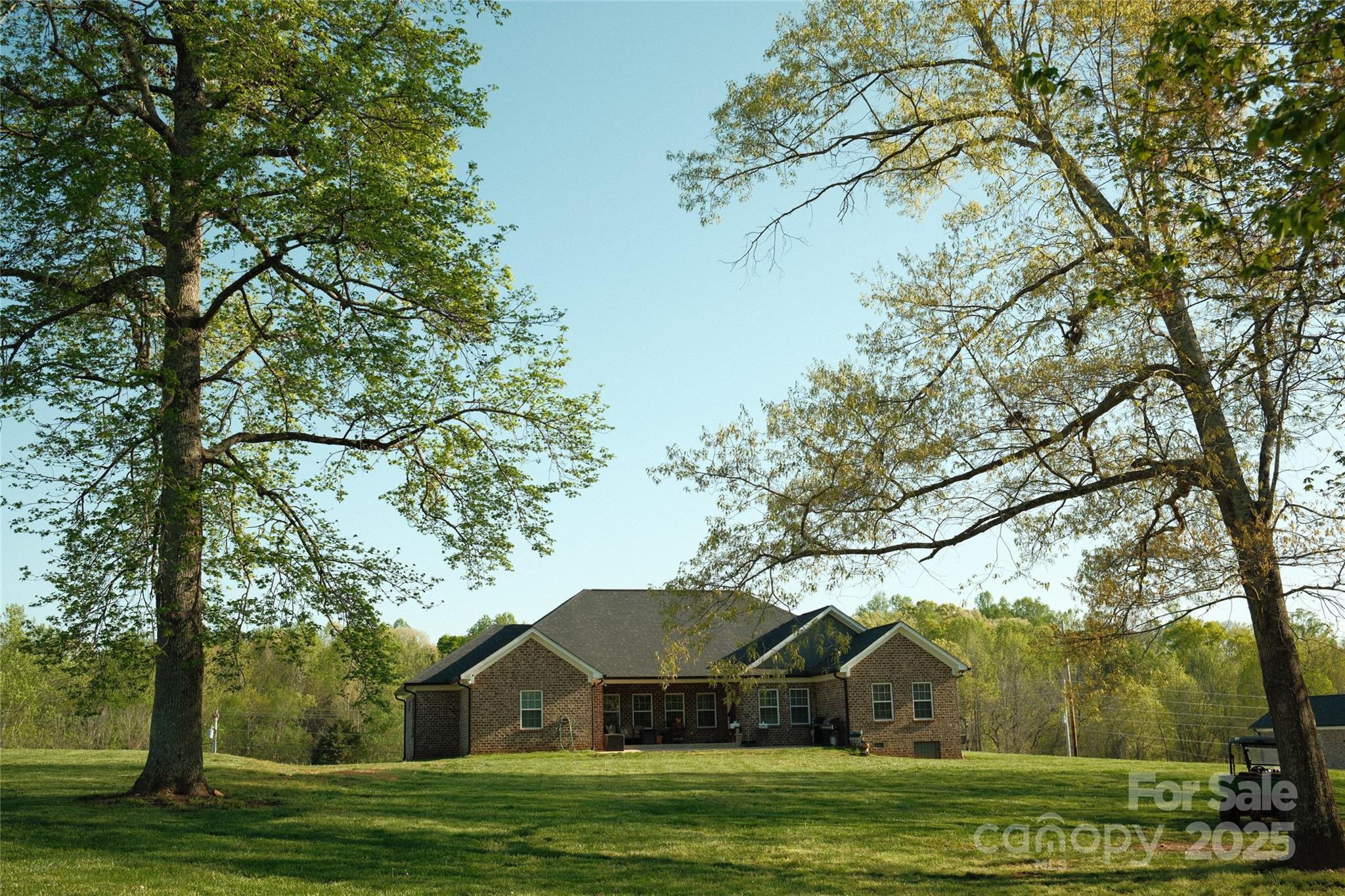Photo #35