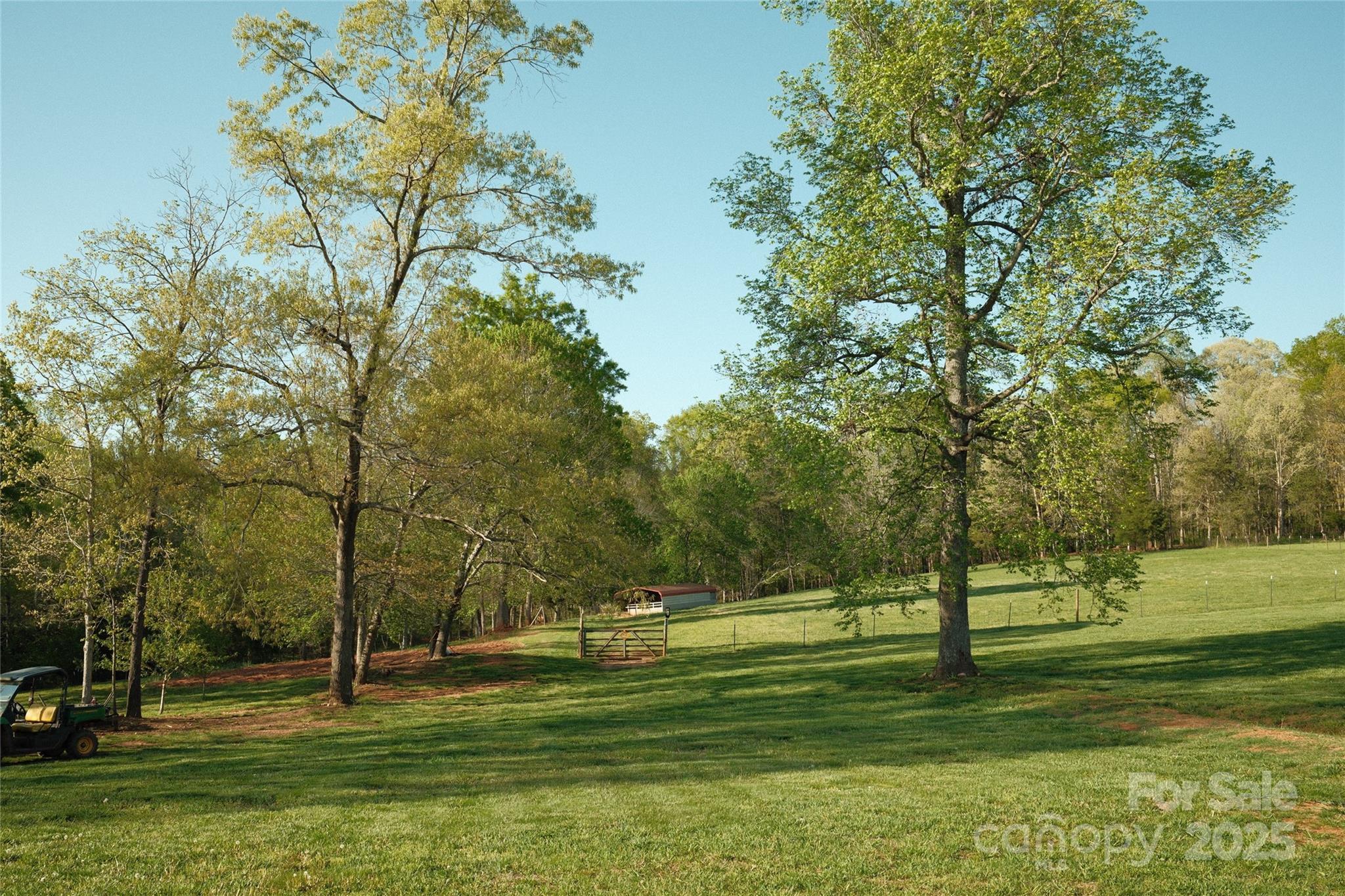 Photo #40