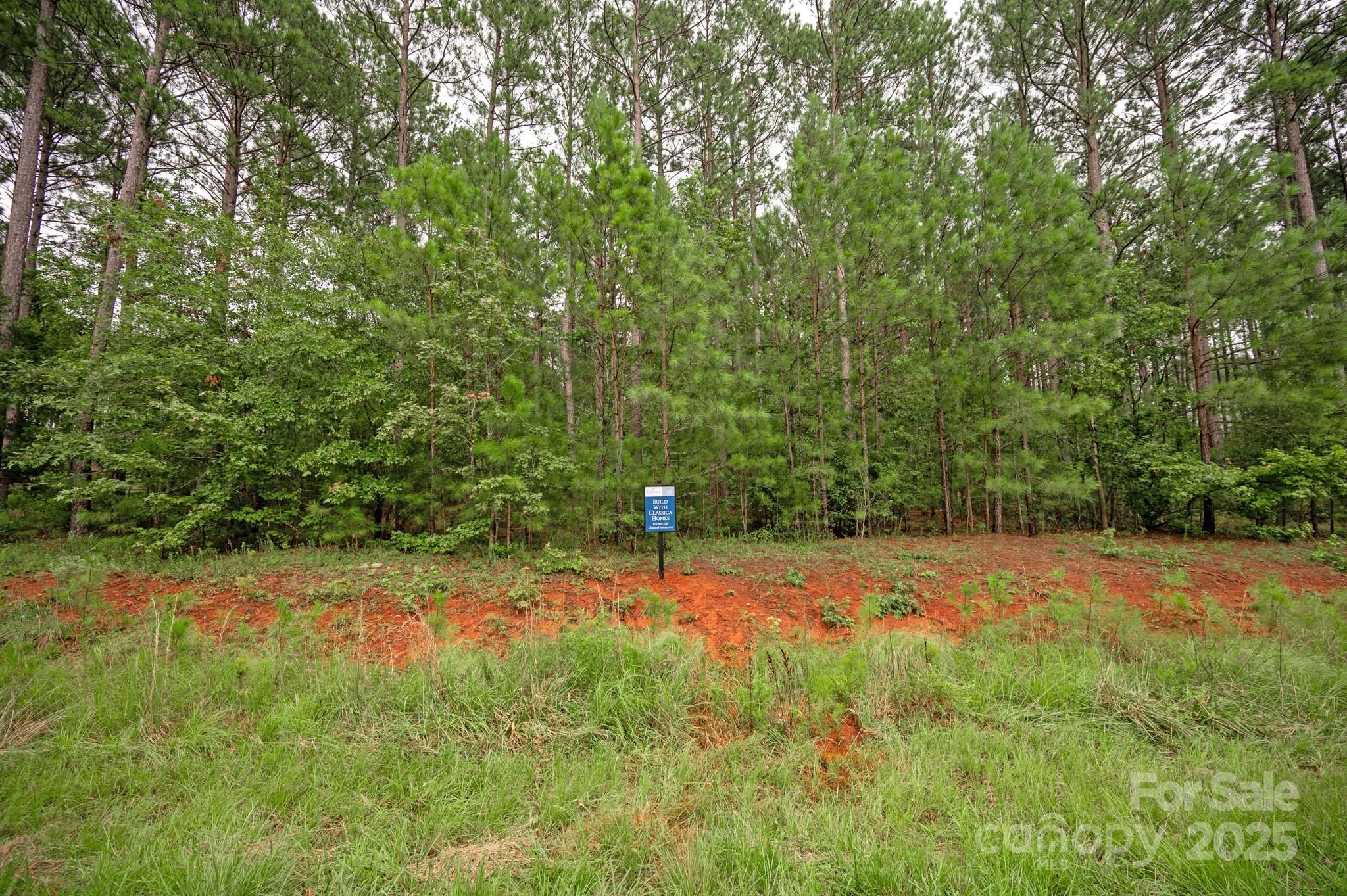 Photo #44