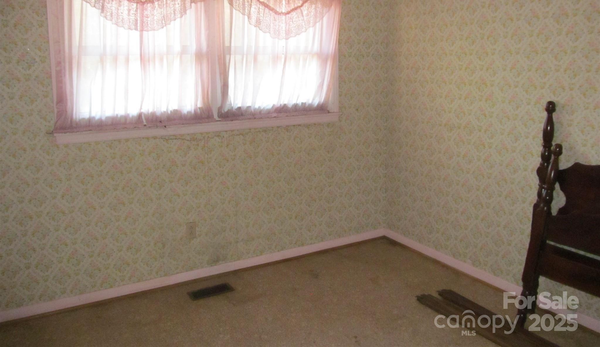 Photo #11
