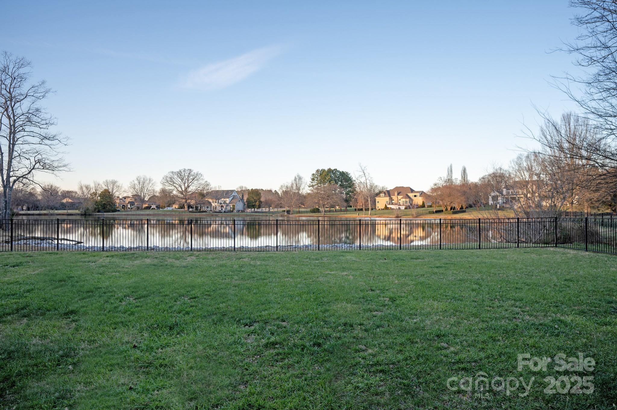 Photo #46