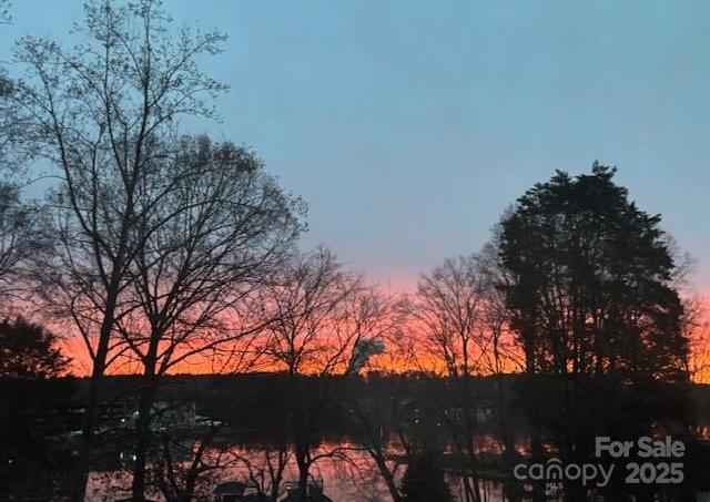 Photo #46