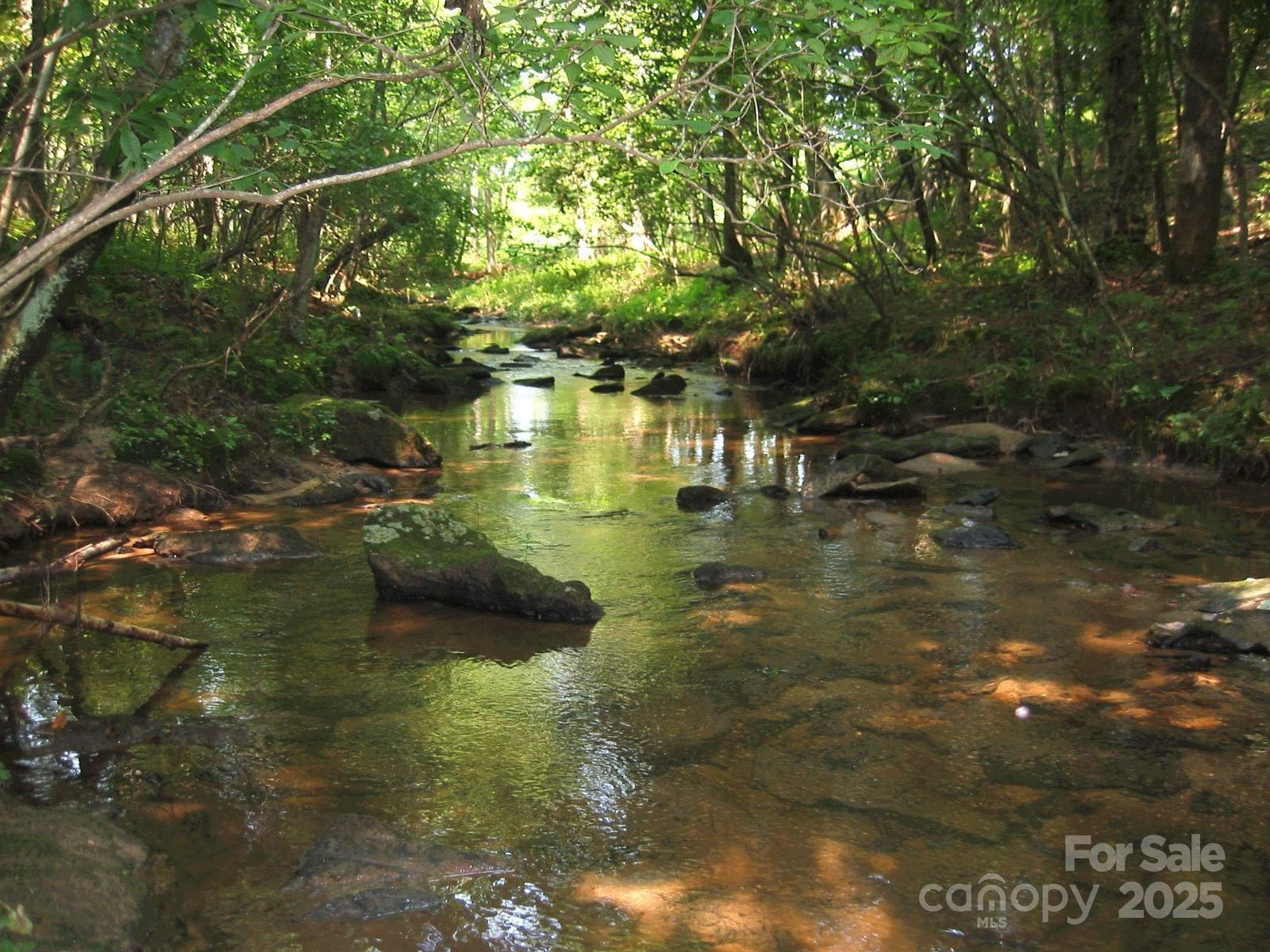 Photo #36