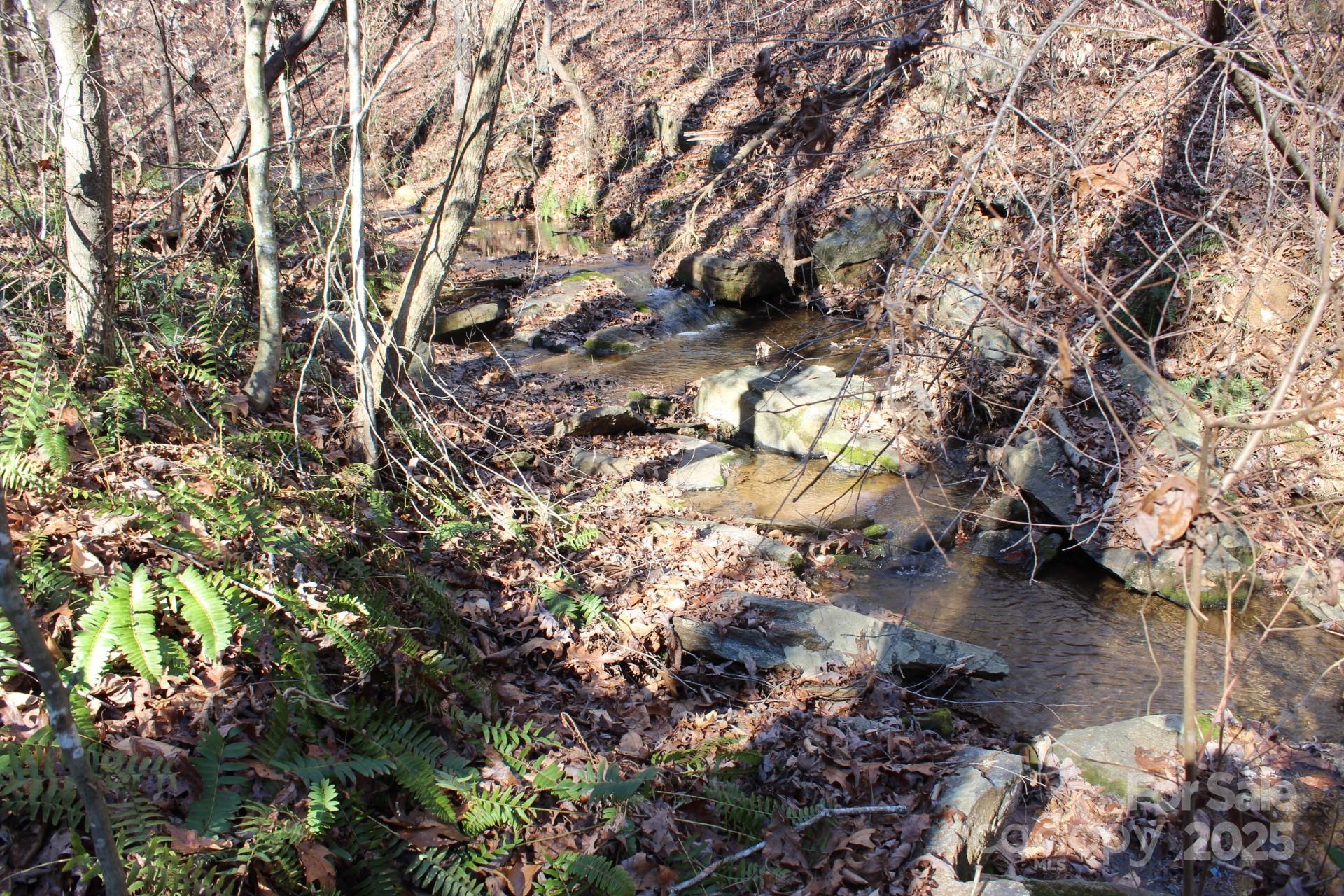 Photo #47
