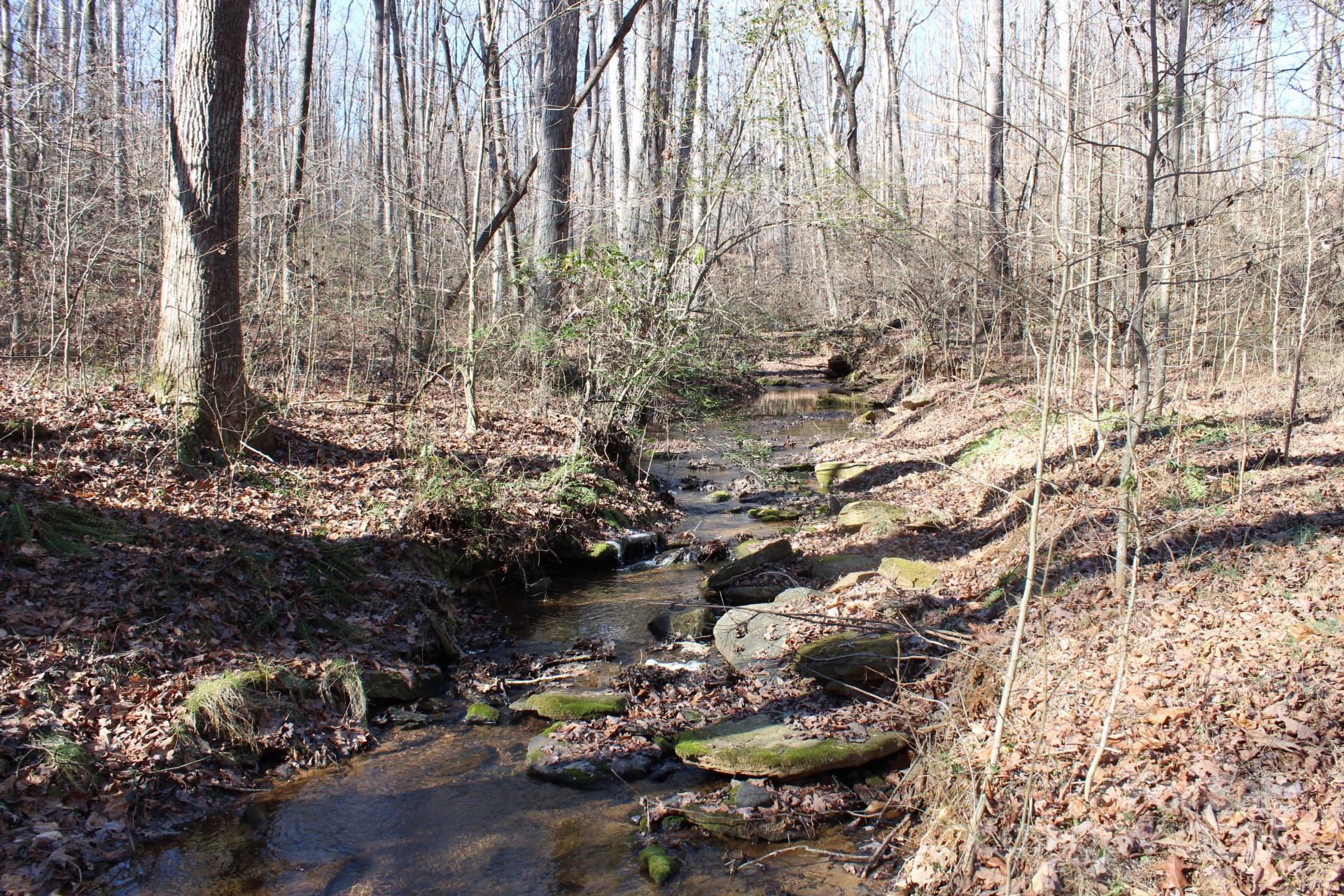 Photo #46