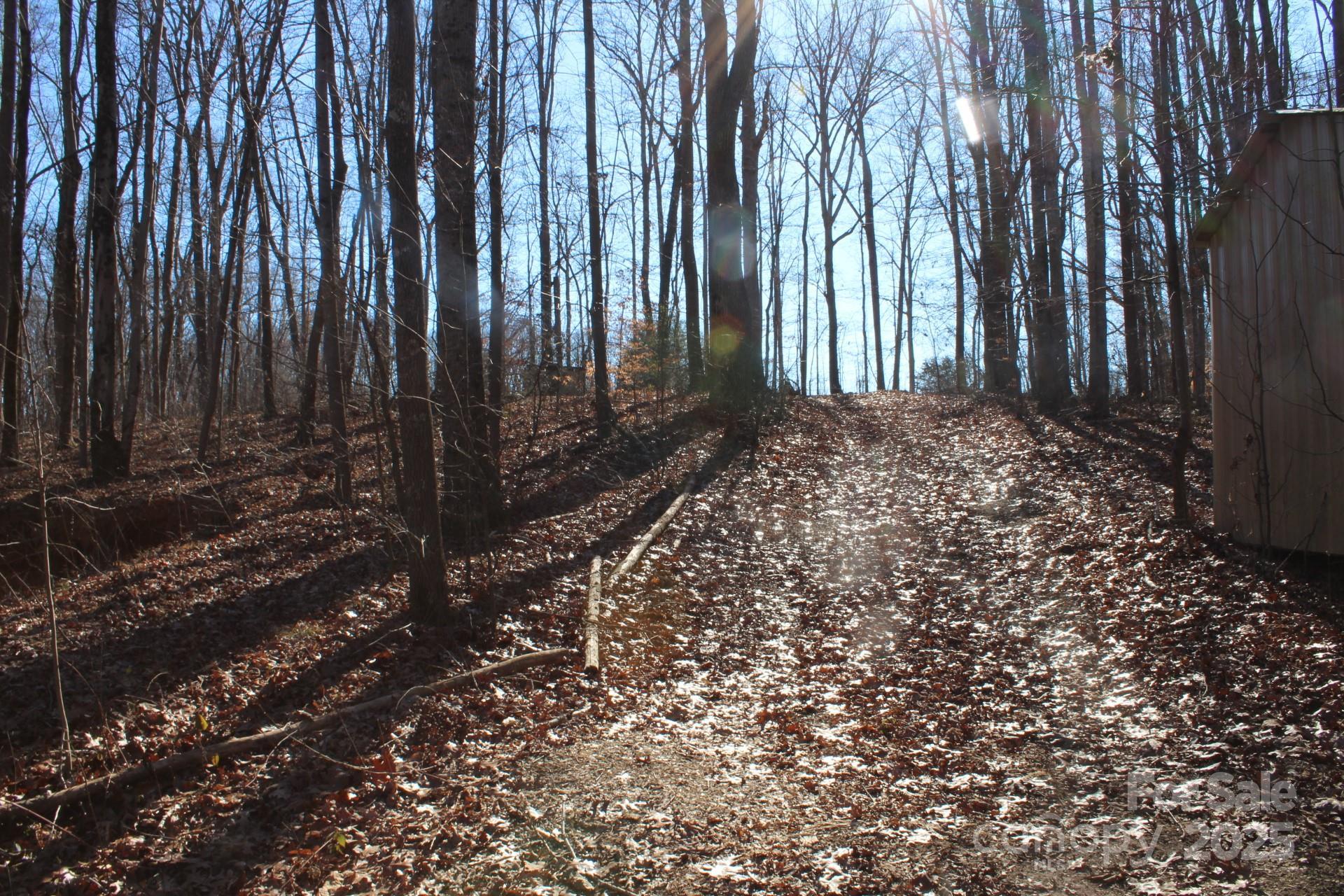Photo #41