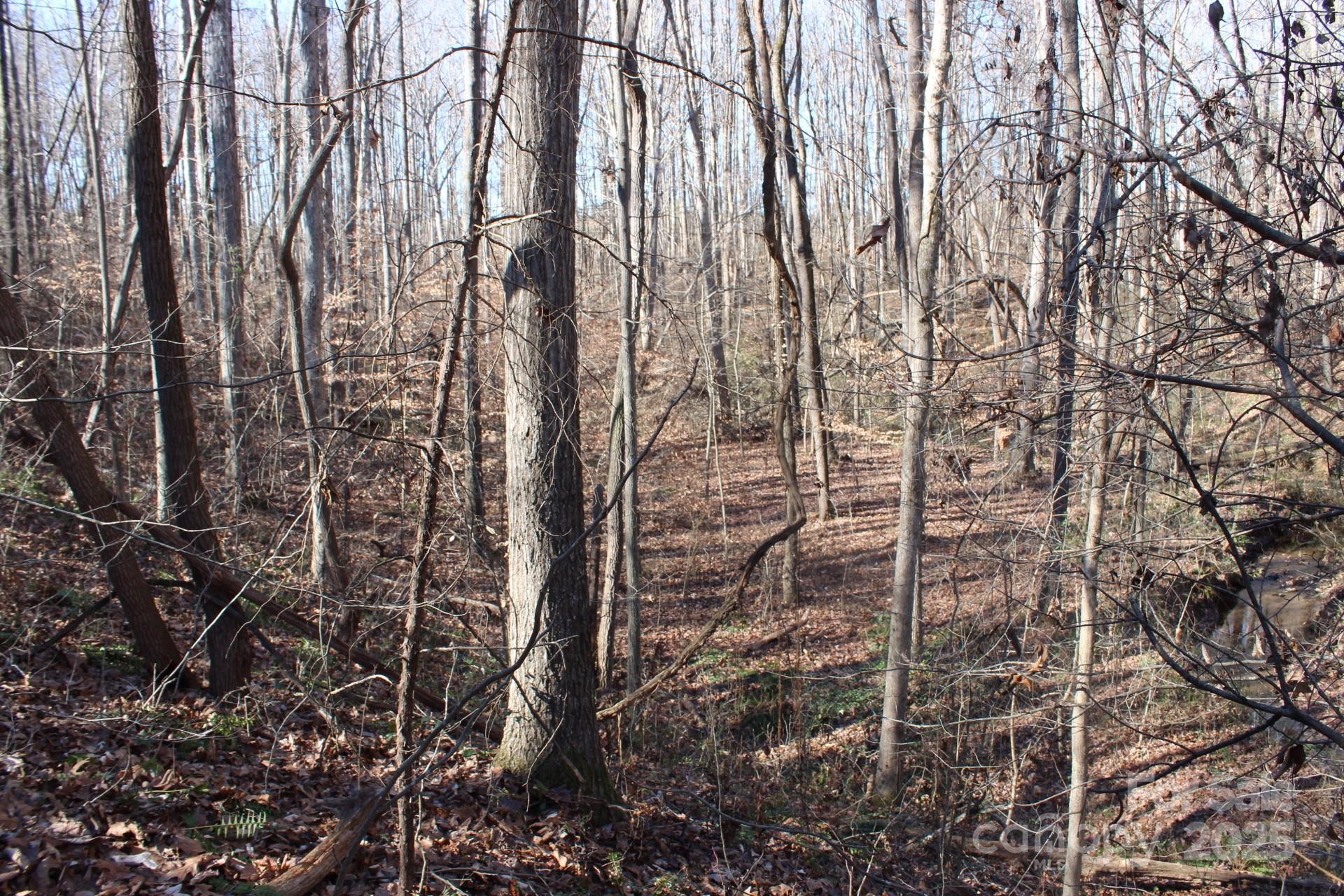 Photo #48