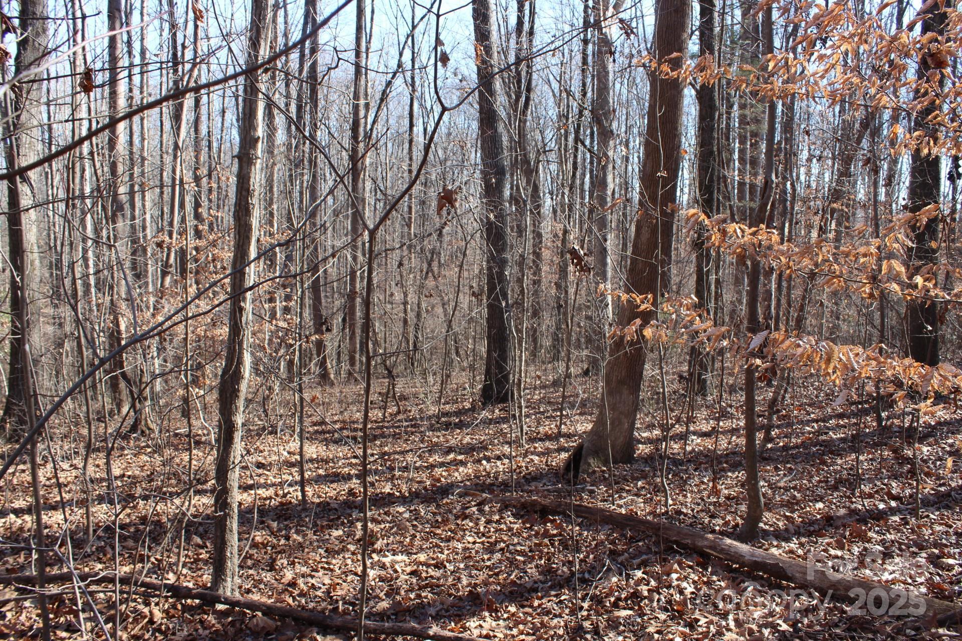 Photo #43