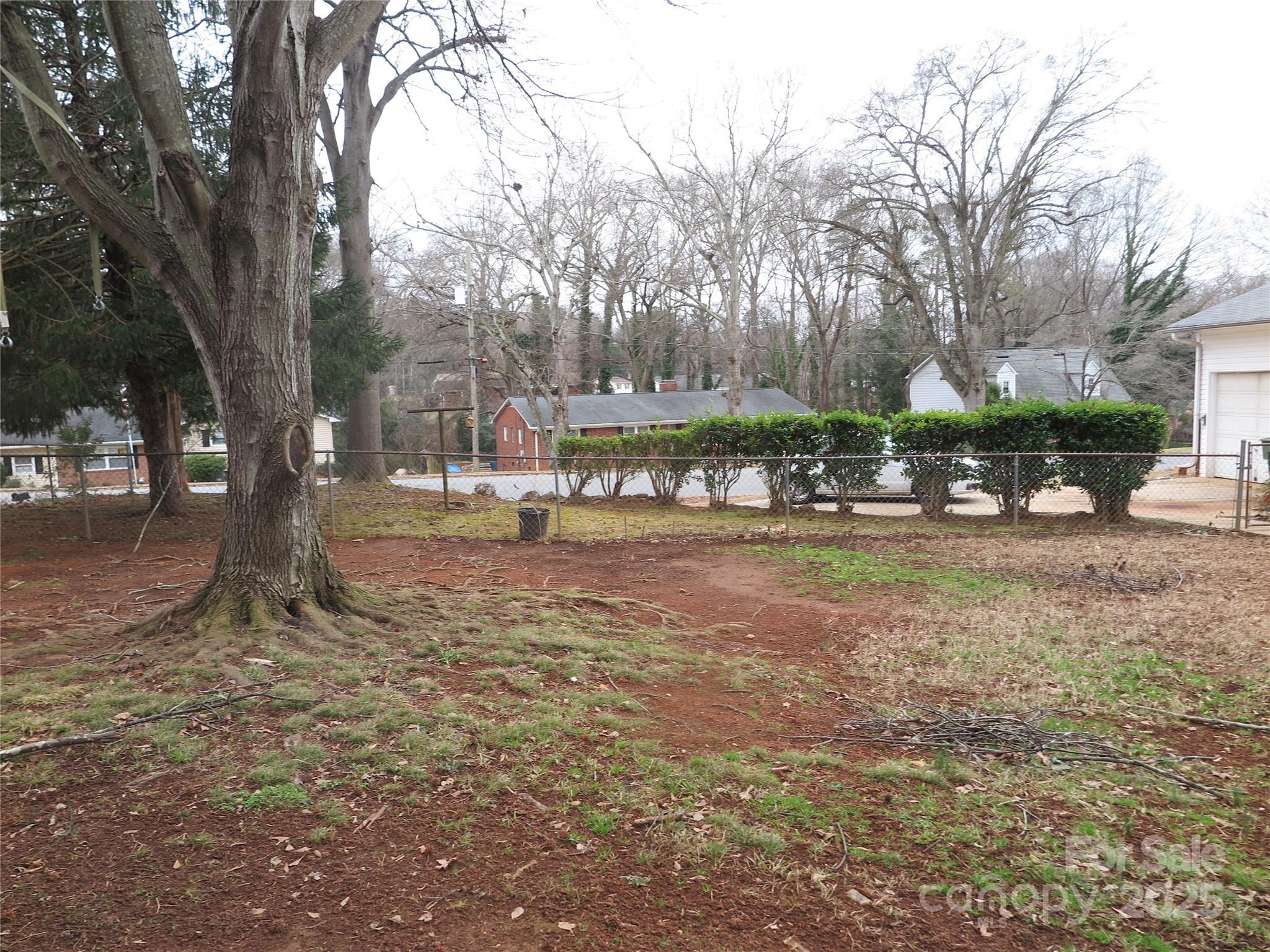 Photo #35