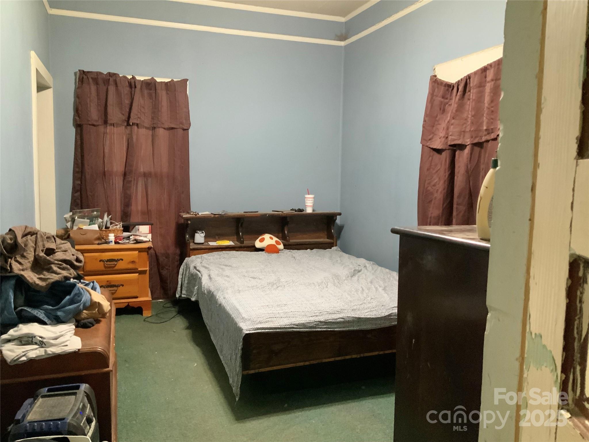 Photo #24