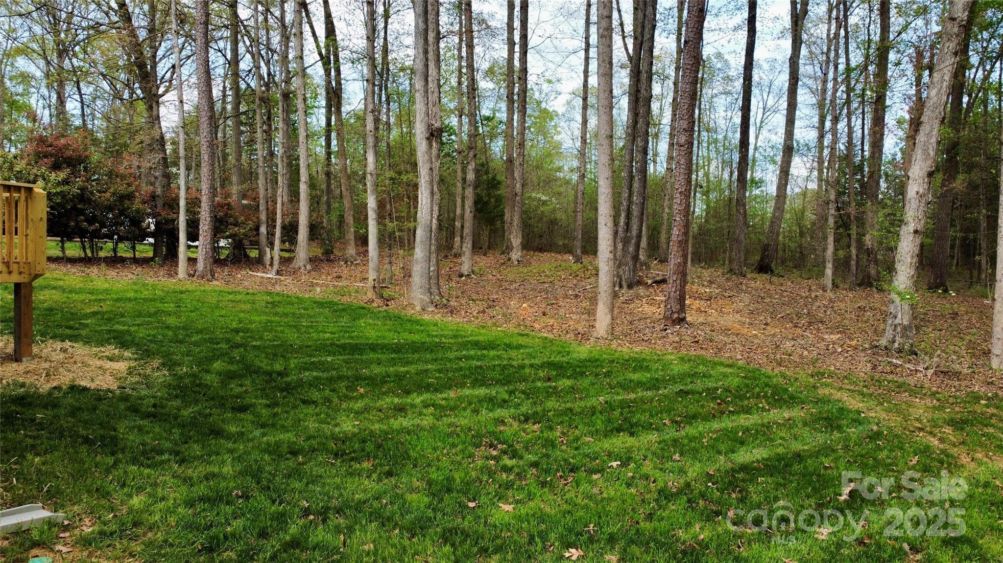 Photo #42