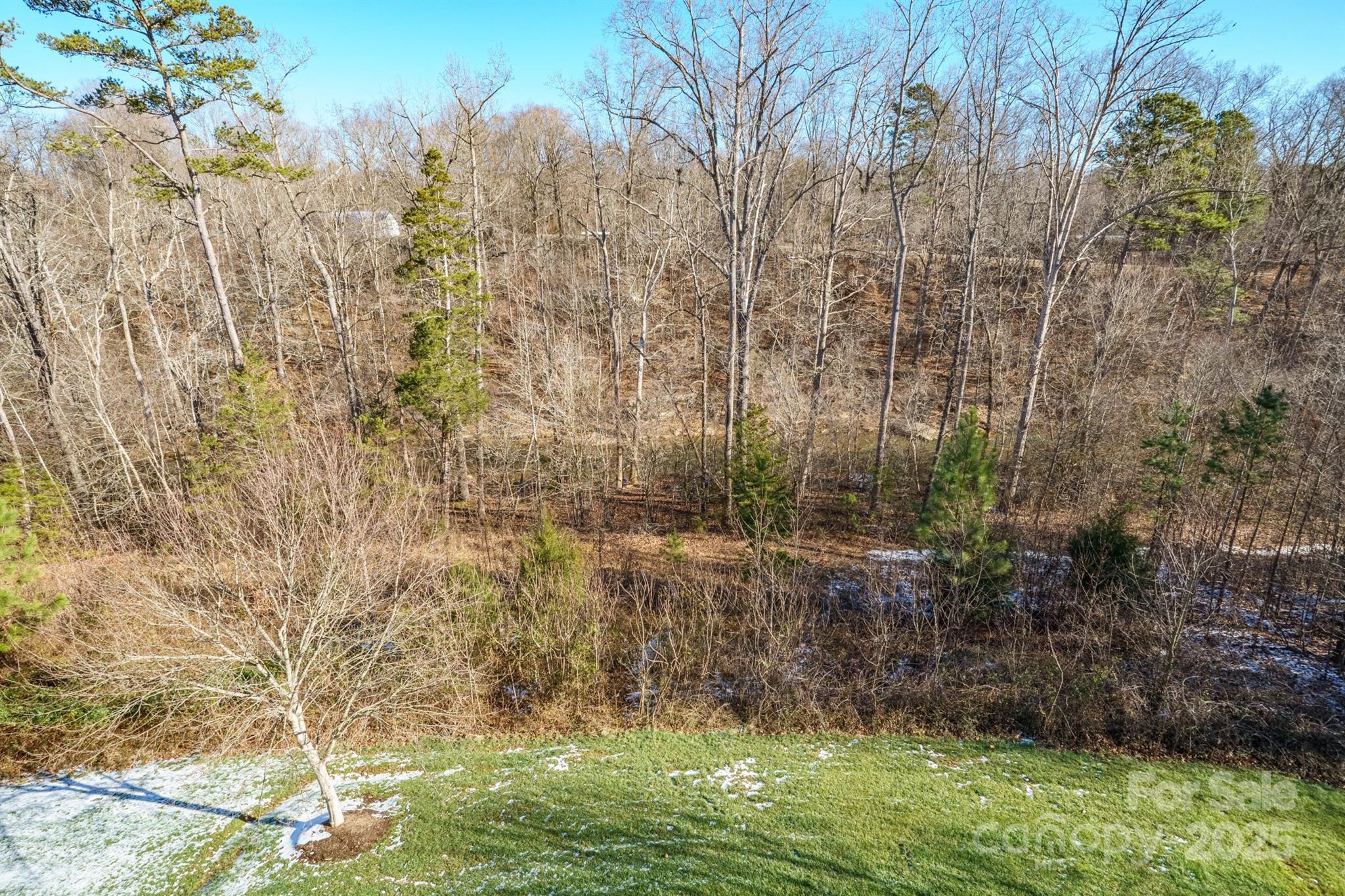 Photo #43