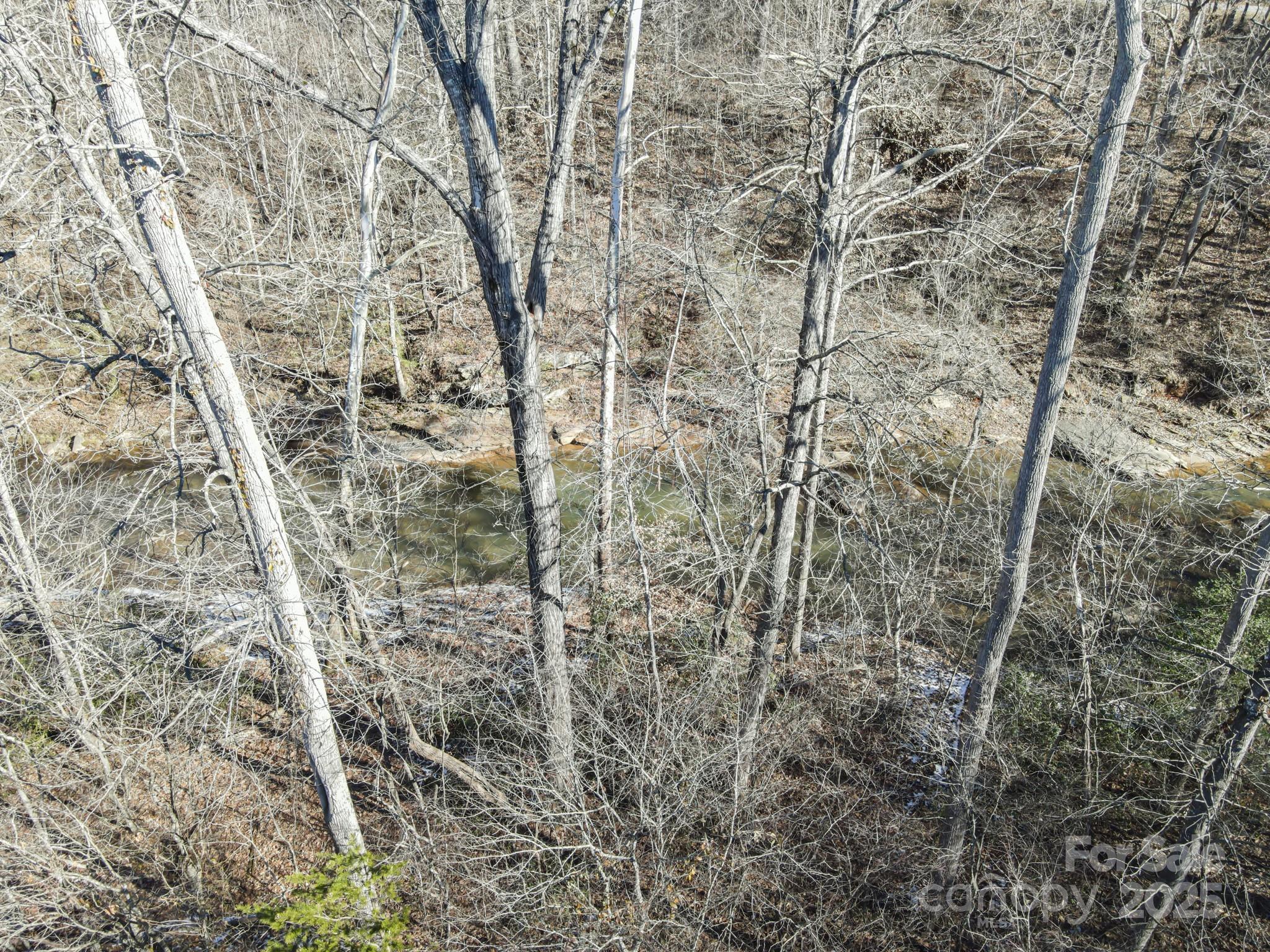 Photo #44