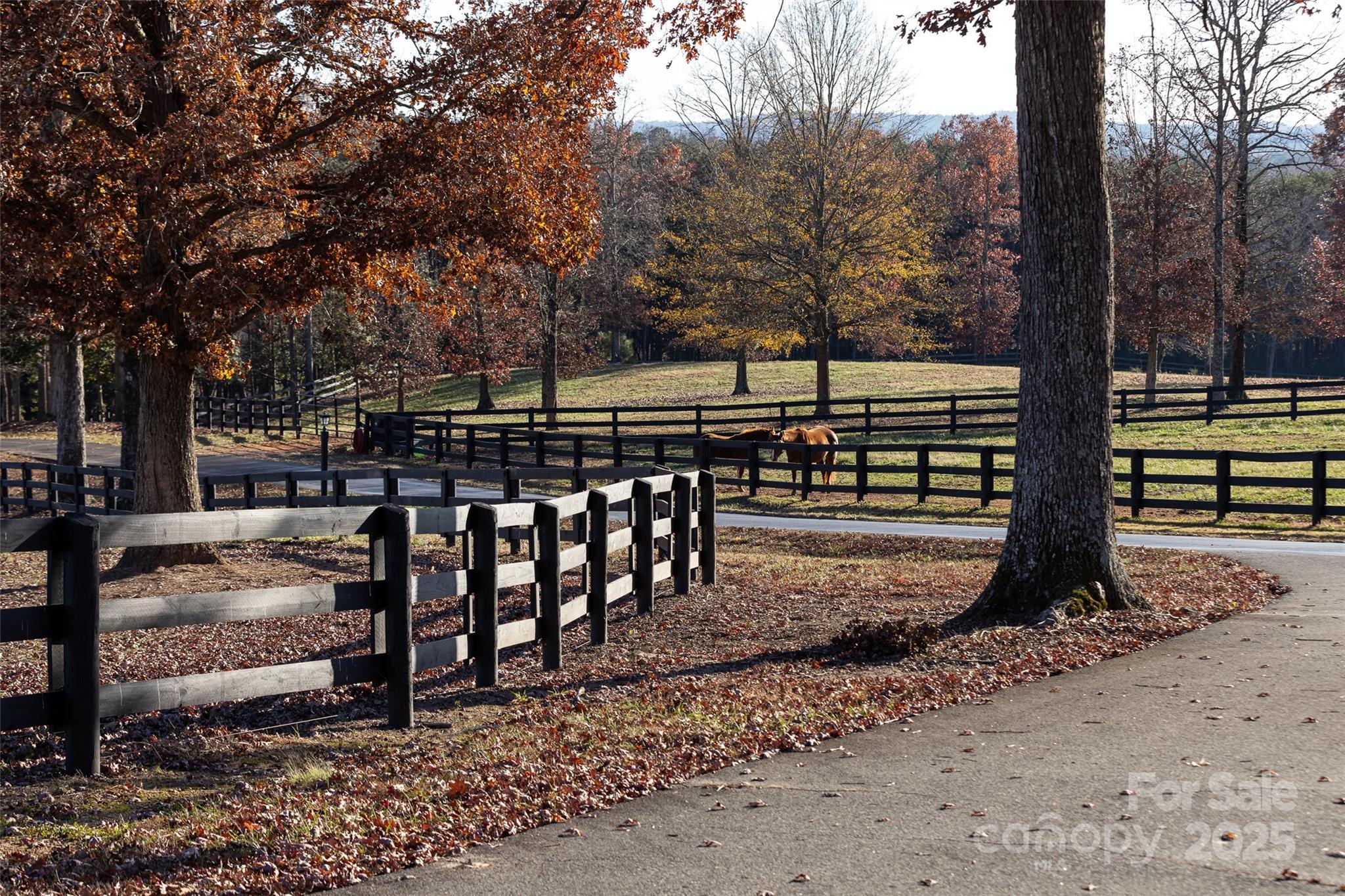Photo #43