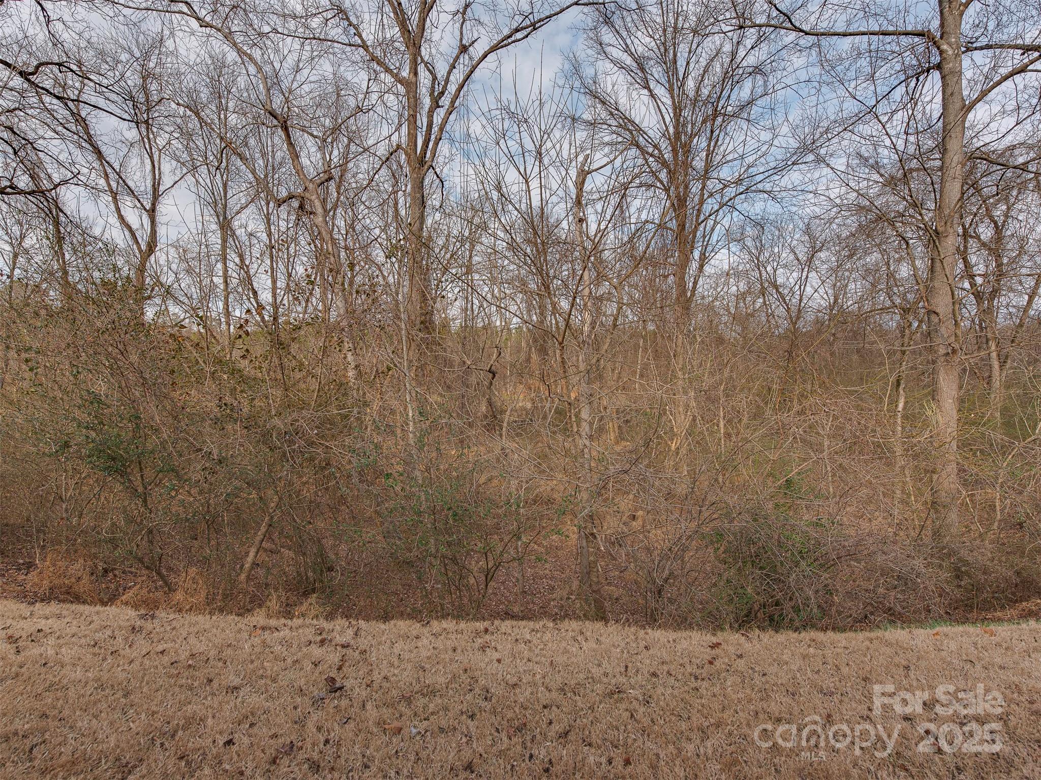Photo #34