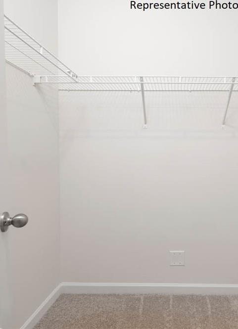 Photo #18