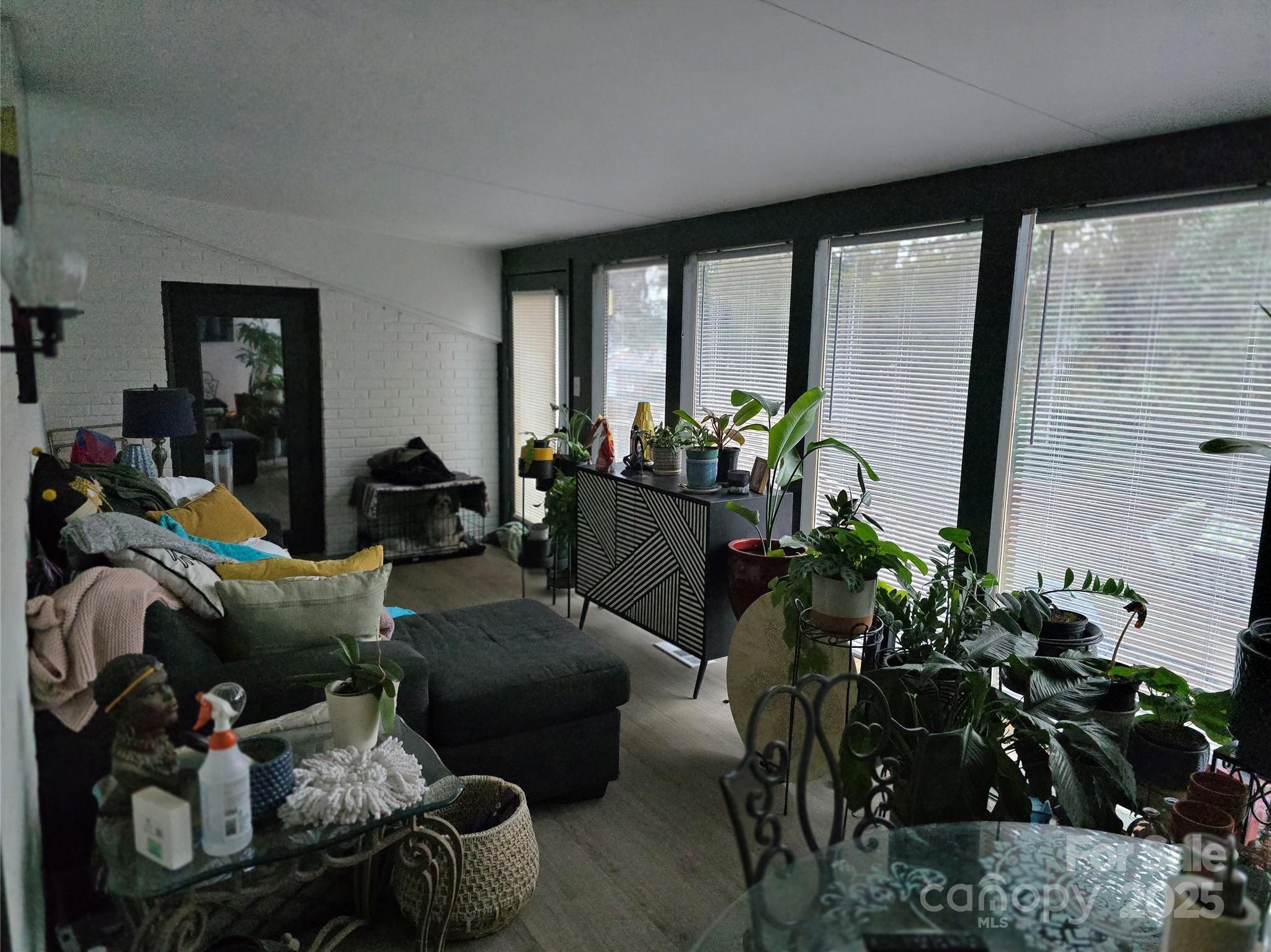 Photo #13